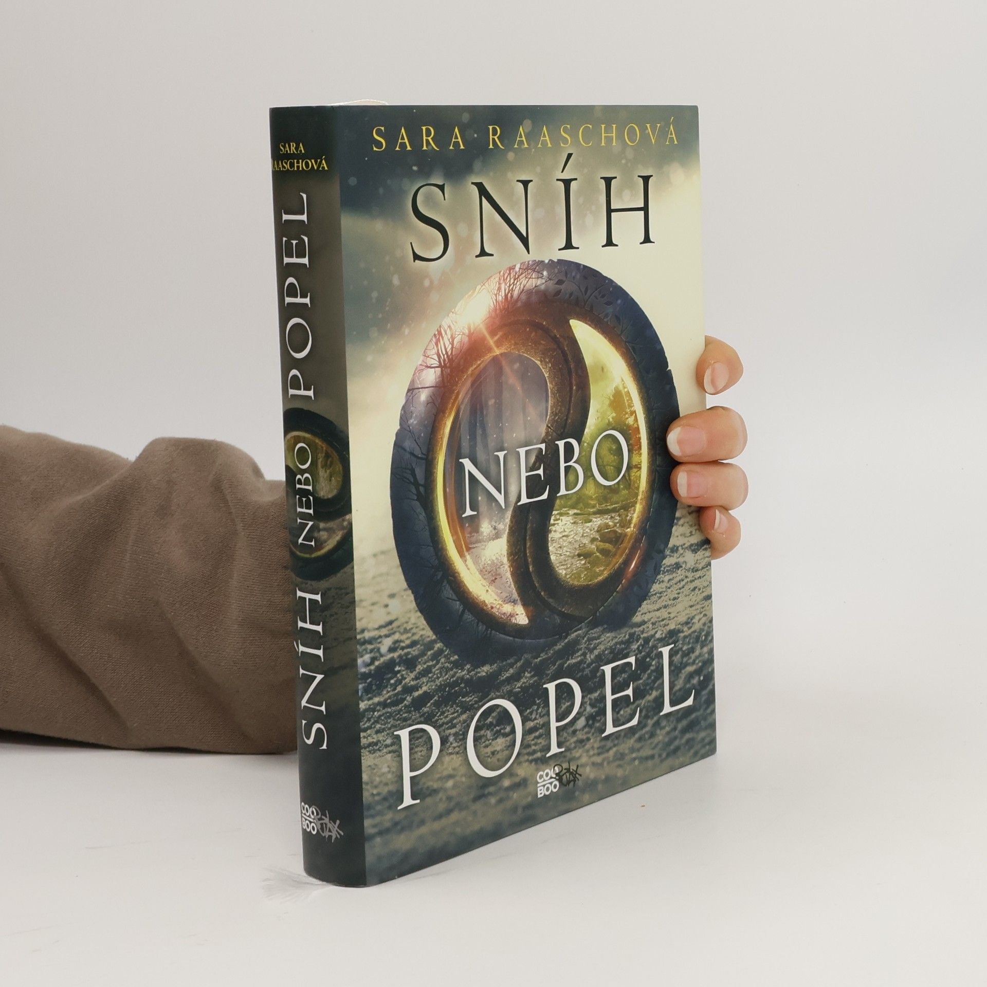 Sara Raasch Sníh nebo popel