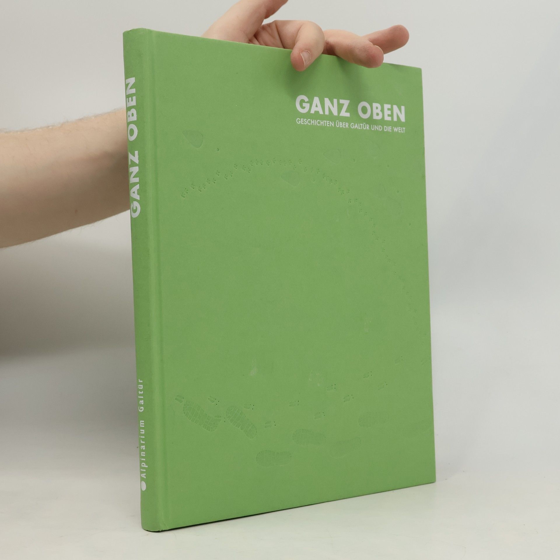 Sarah Berndt Ganz oben. Geschichten über Galtür und die Welt