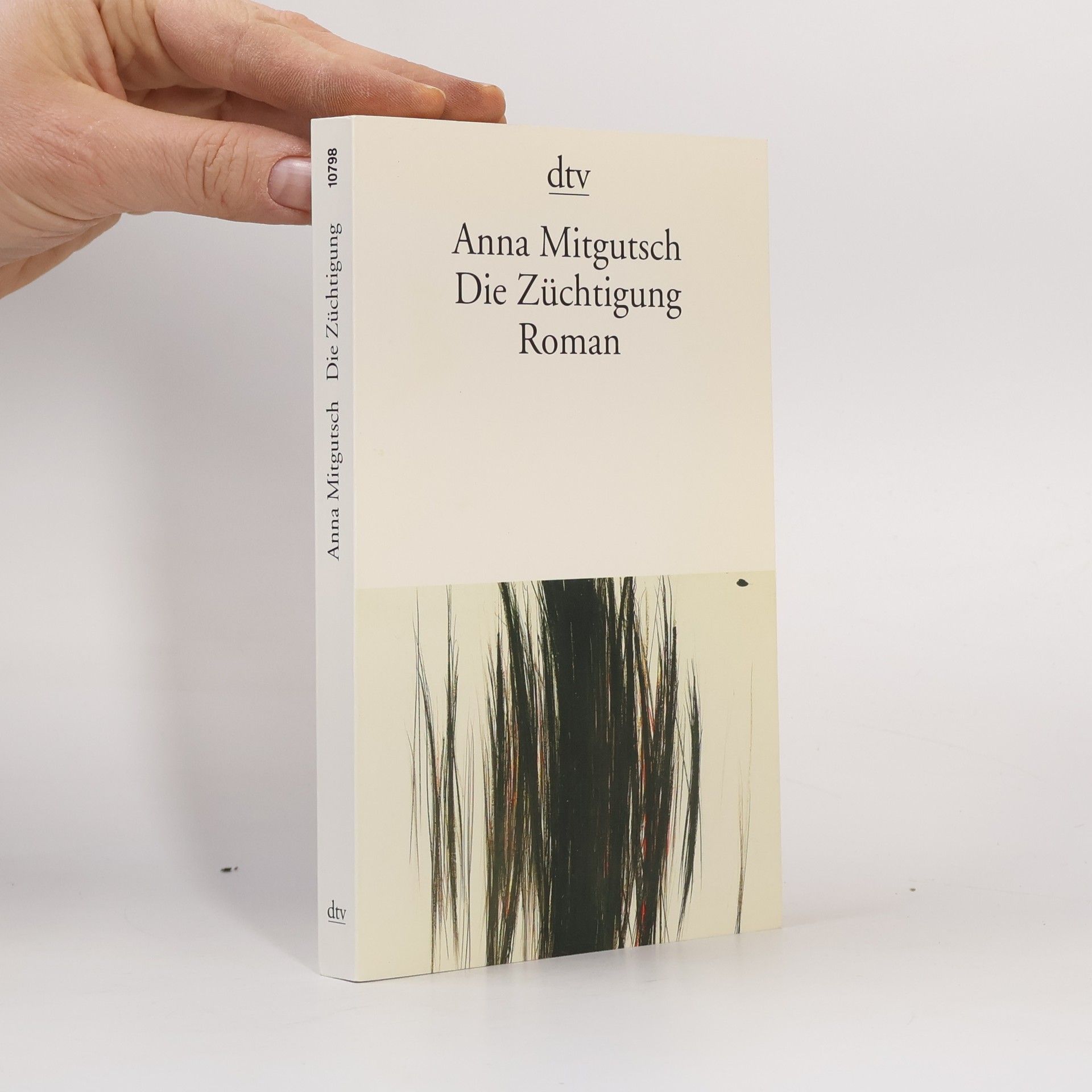 Anna Mitgutsch Die Züchtigung