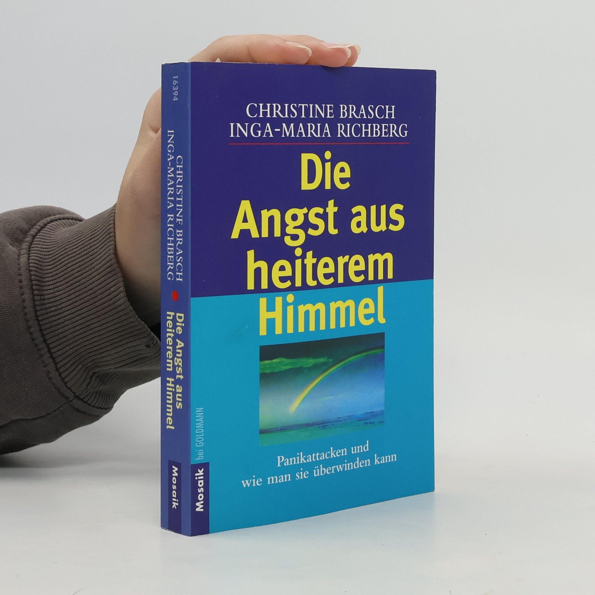 Christine Brasch Die Angst aus heiterem Himmel