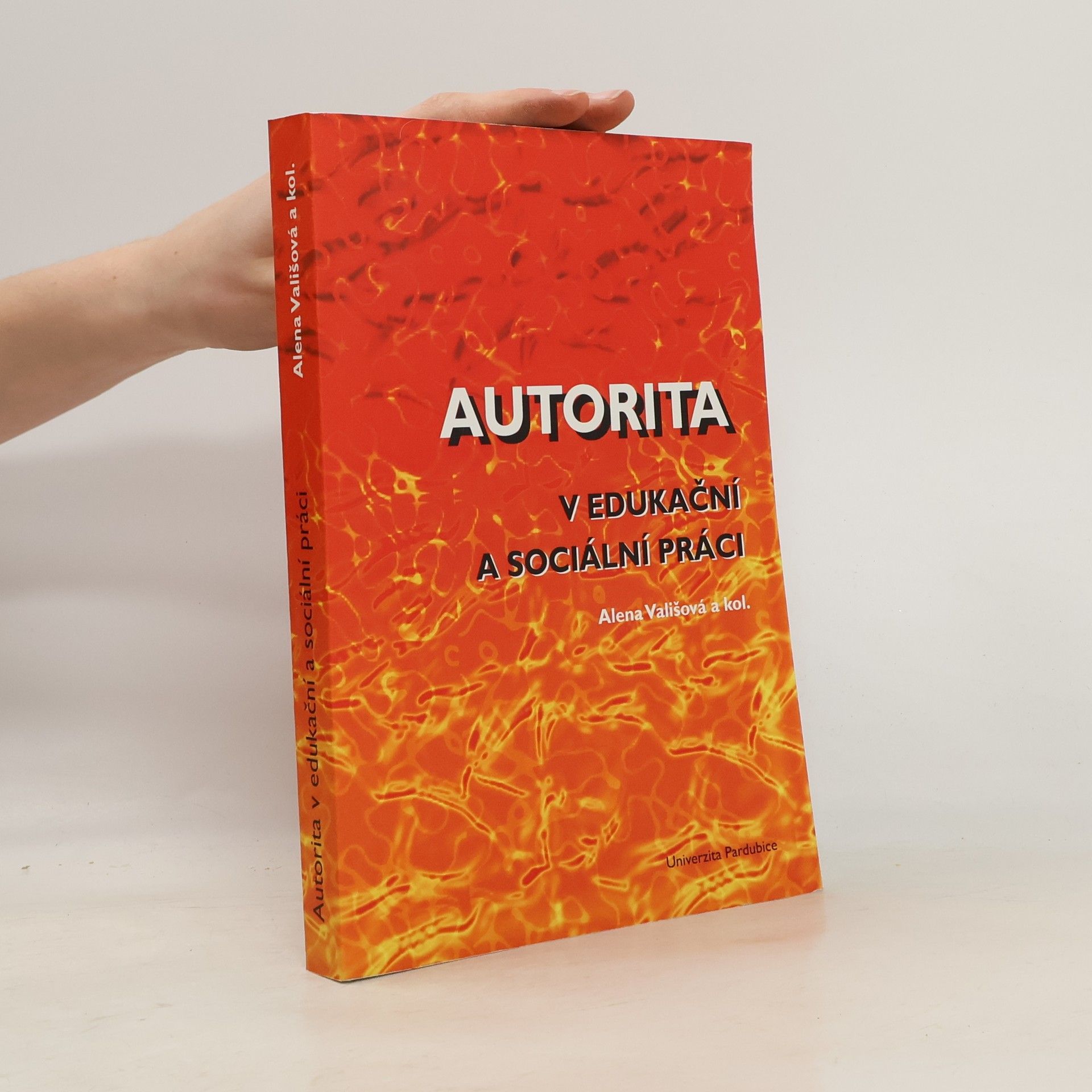 Autorita v edukační a sociální práci