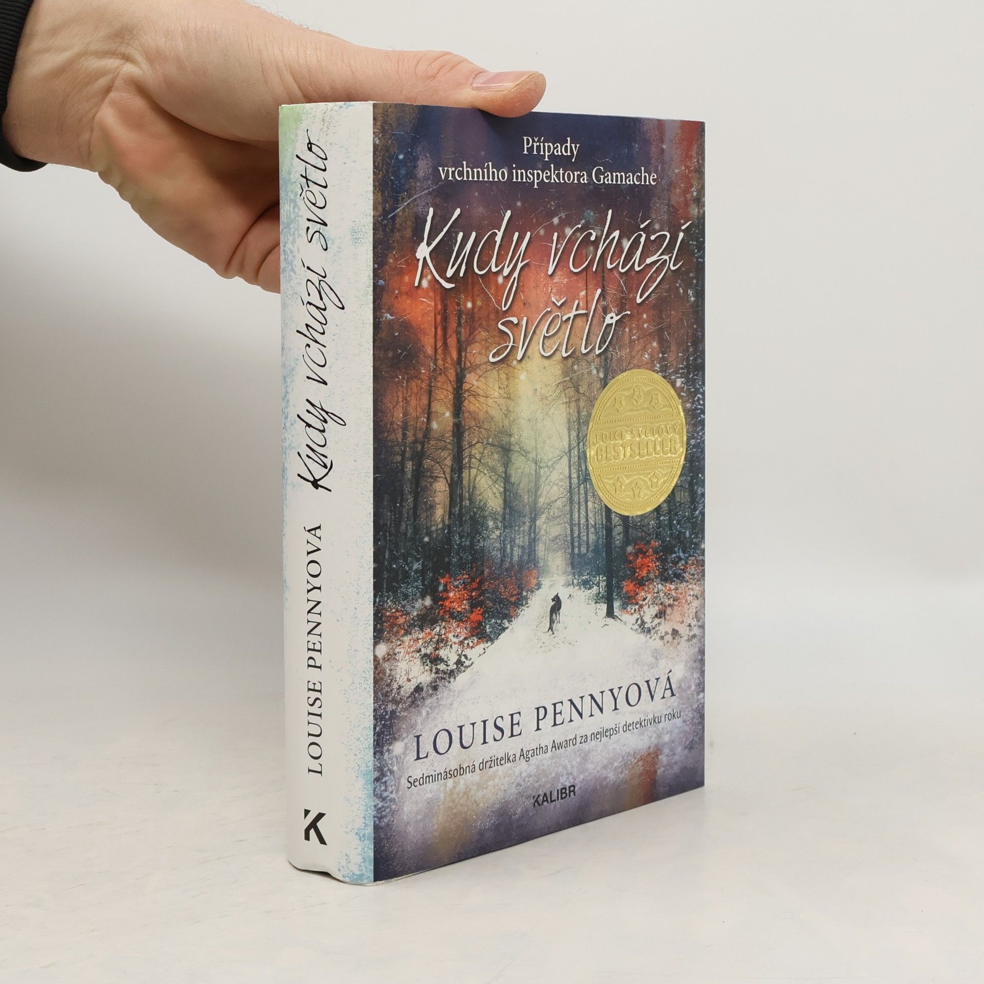 Louise Penny Kudy vchází světlo