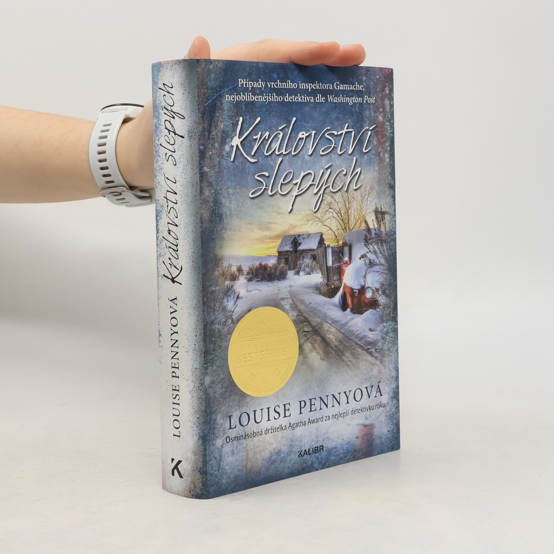 Louise Penny Království slepých