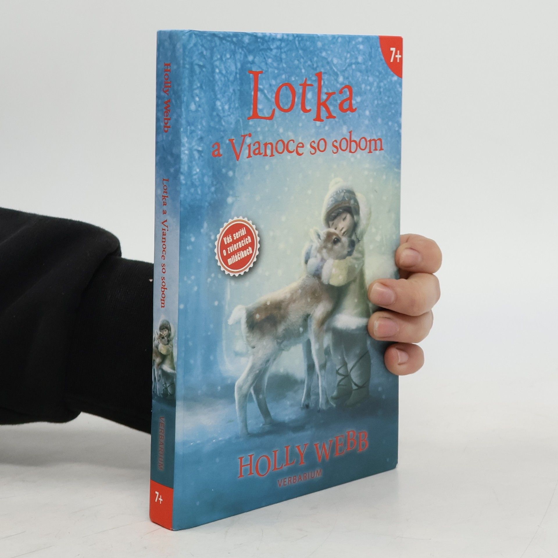 Holly Webb Lotka a Vianoce so sobom