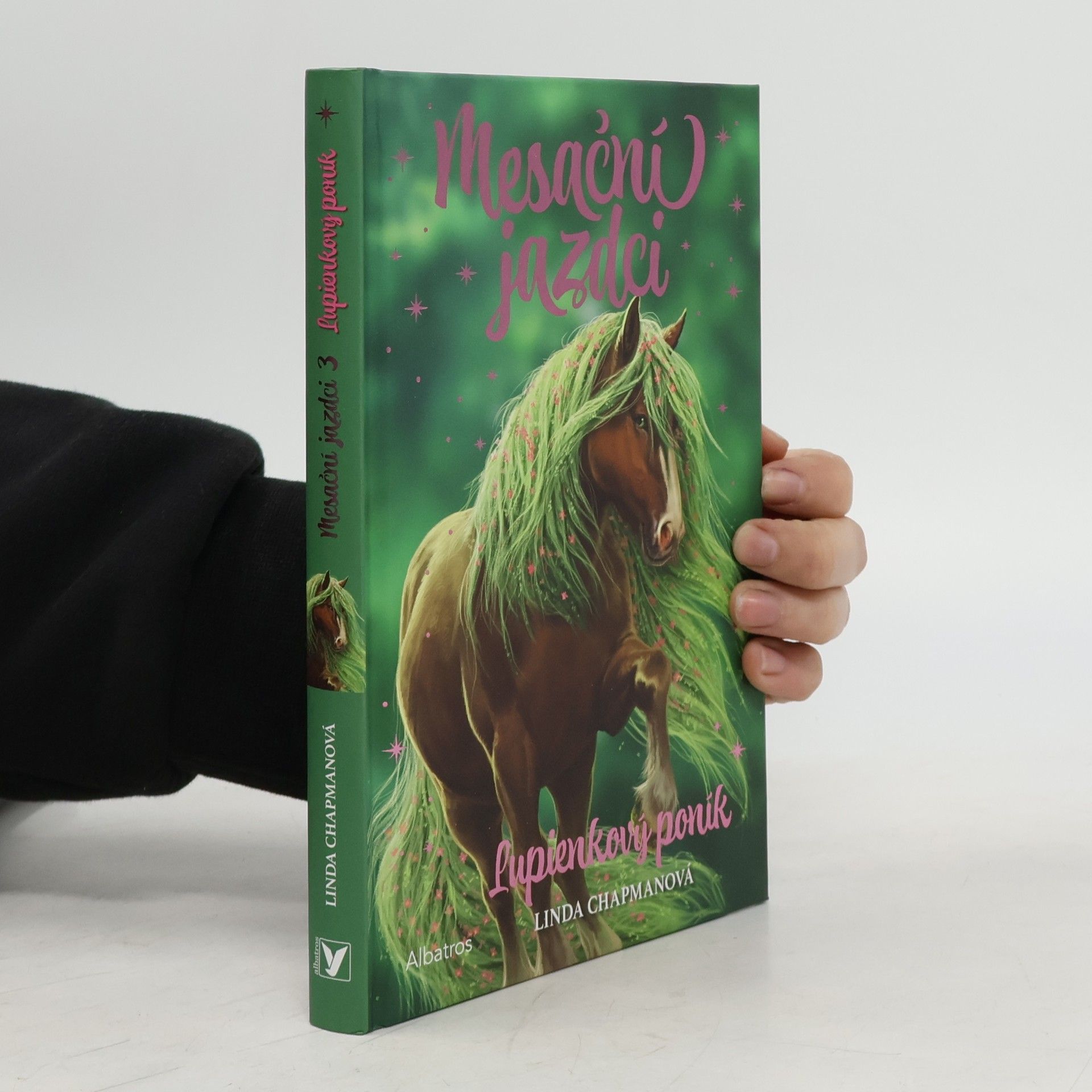 Linda Chapman Mesační jazdci 3 Lupienkový poník