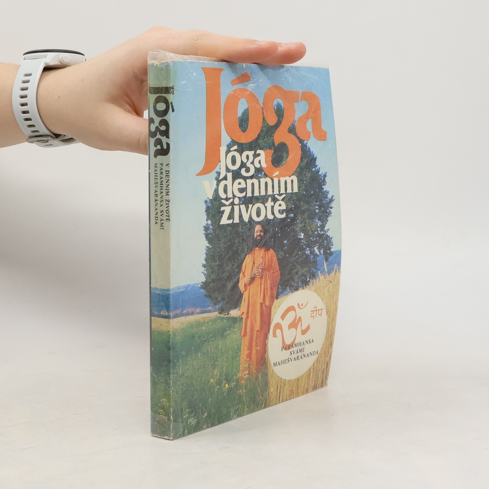 Paramhans Swami Maheshwarananda Jóga v denním životě