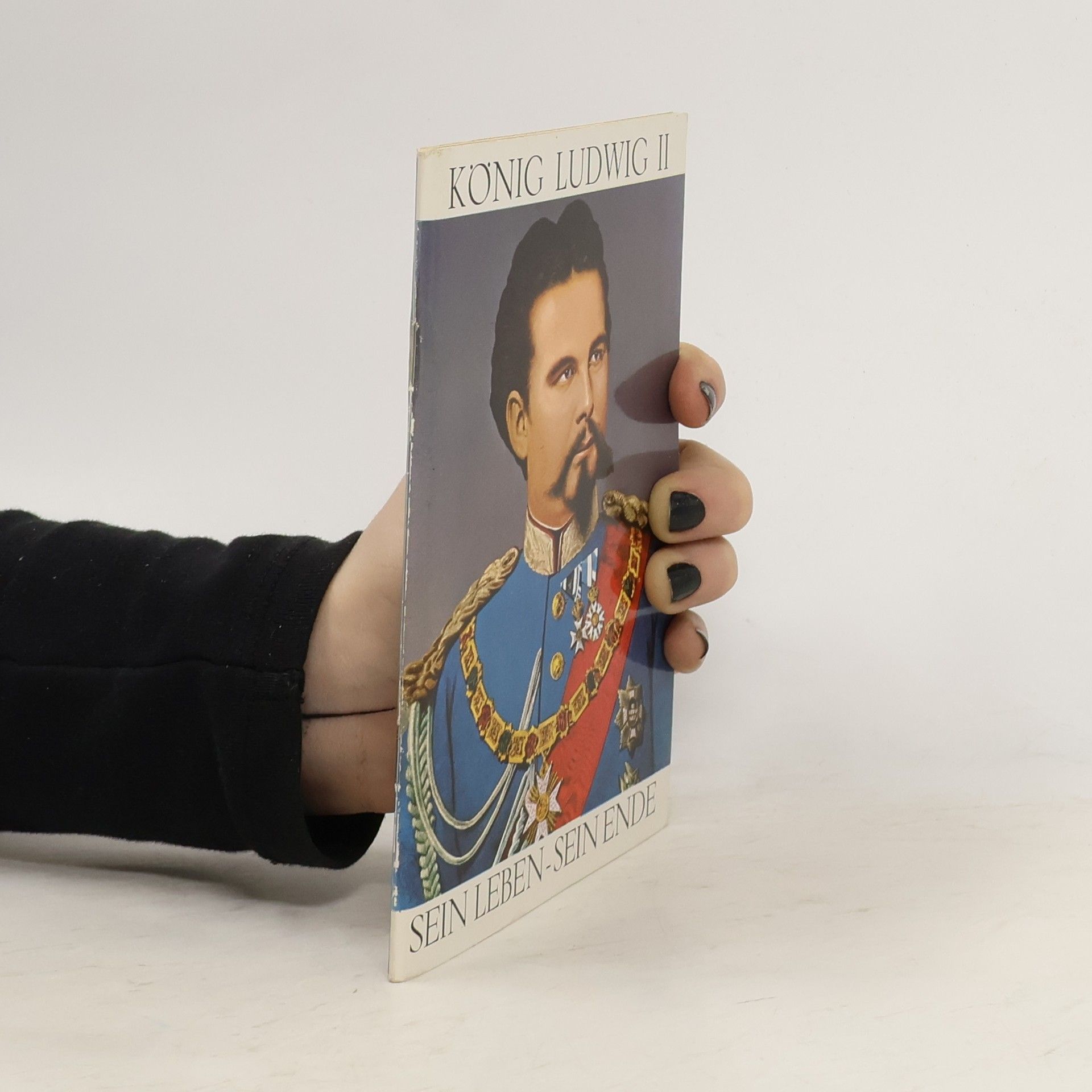 Julius Desing König Ludwig II. Sein Leben sein Ende