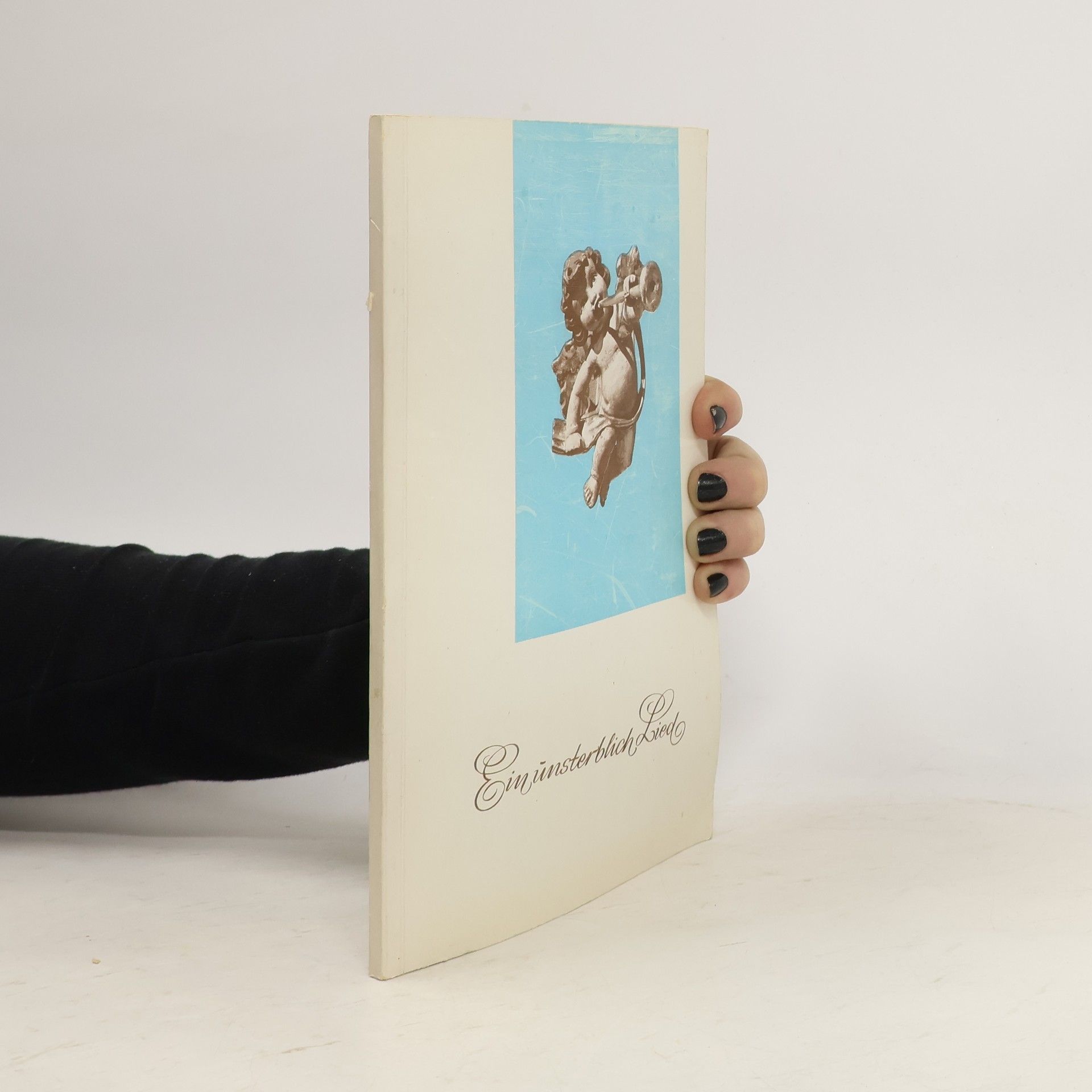 Autorenkollektiv Ein unsterblich Lied