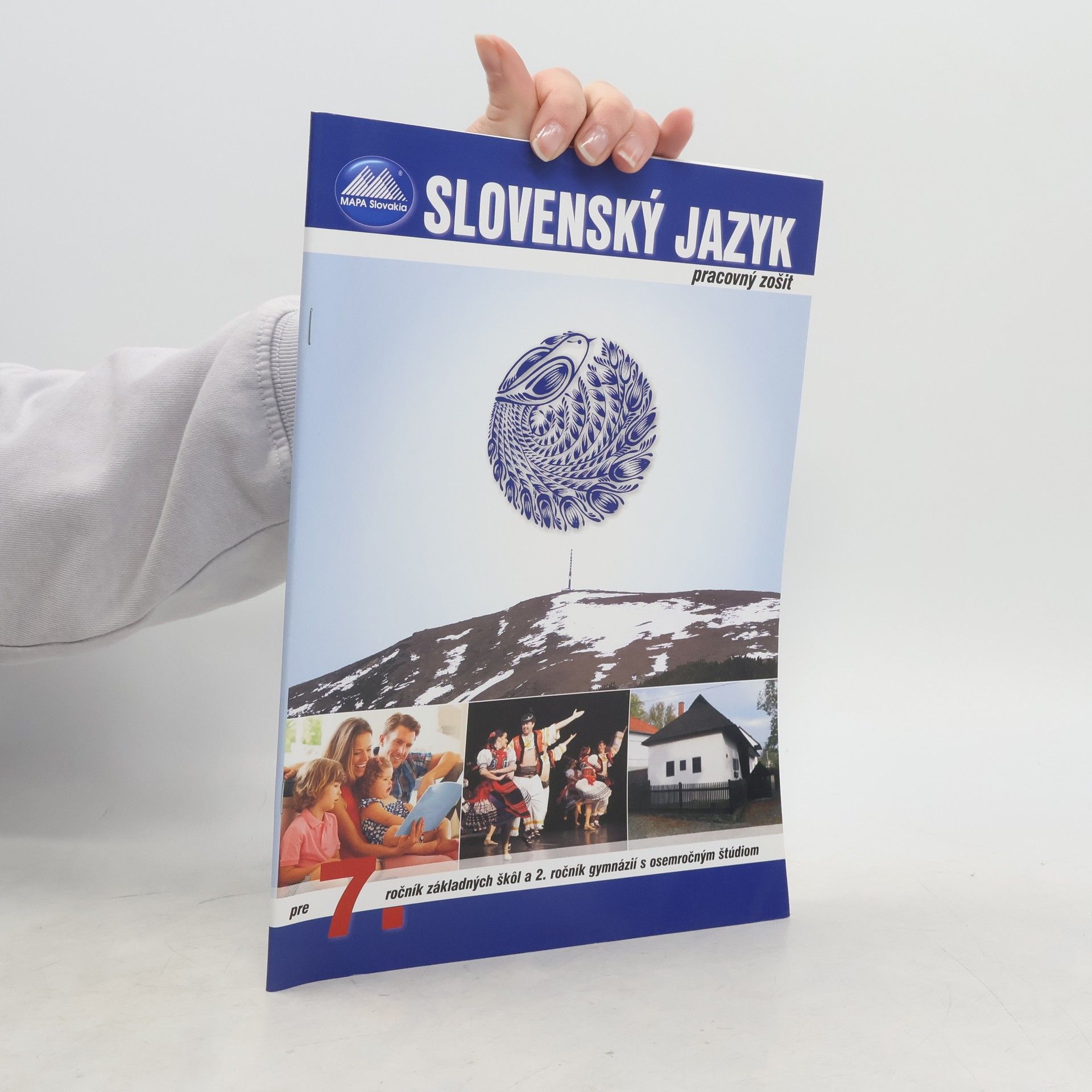 Collectif d'auteurs Pracovná zošit. Slovenský jazyk