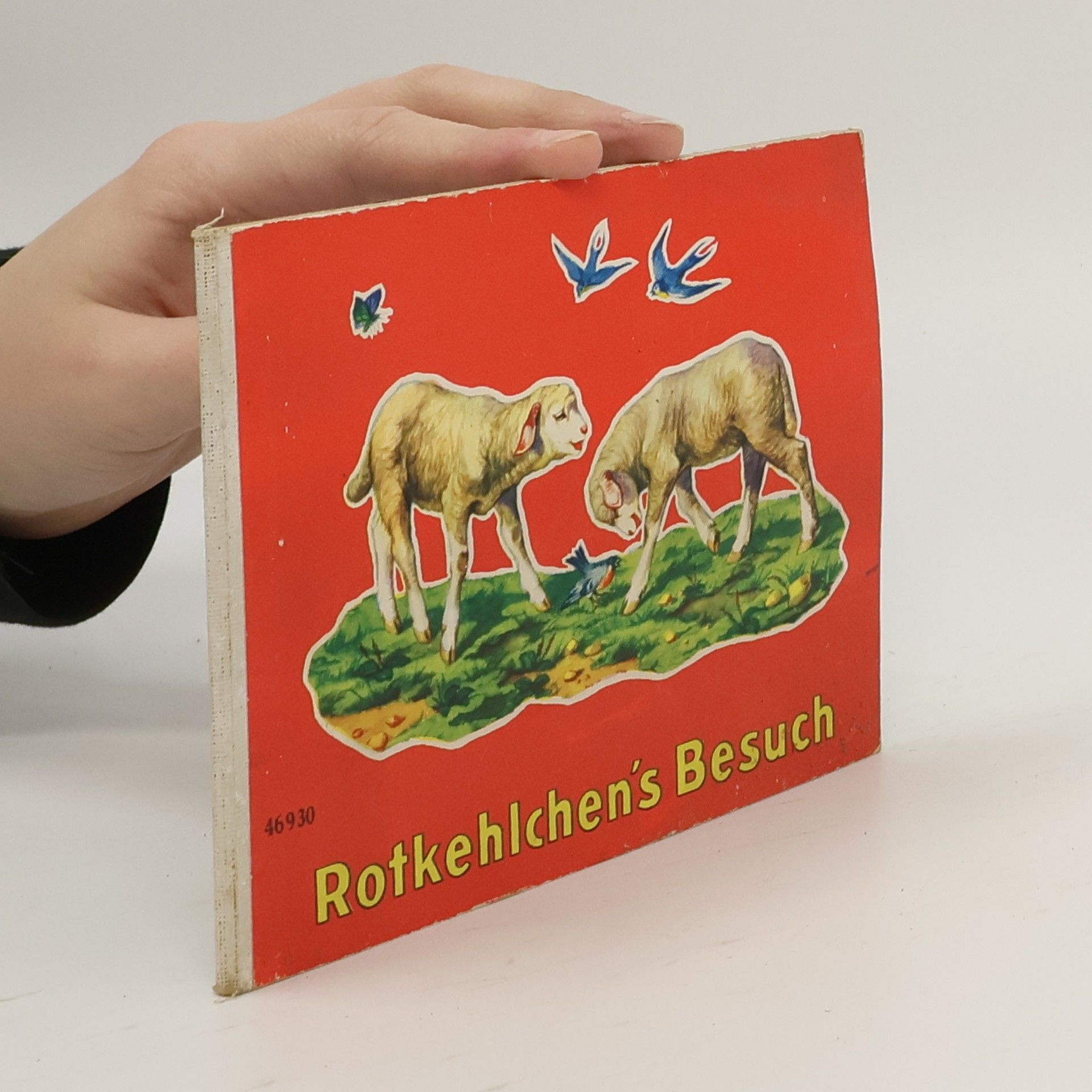 kolektiv Rotkehlchen's Besuch