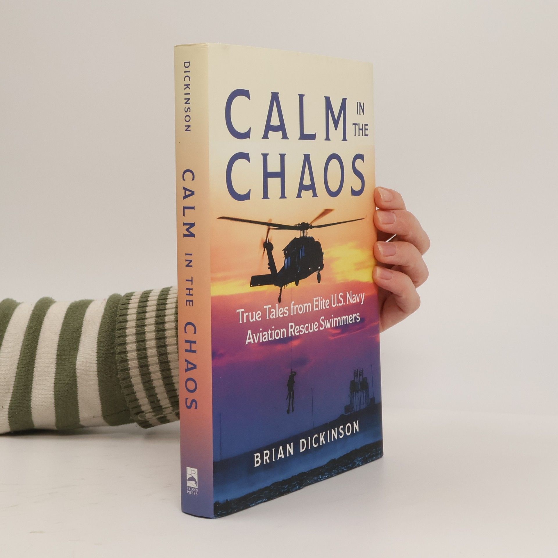 Brian Dickinson Calm in the Chaos