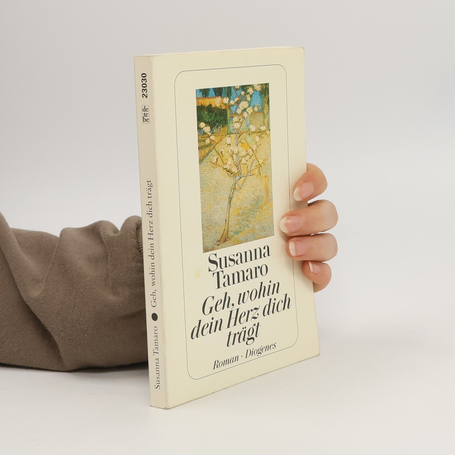 Susanna Tamaro Geh, wohin dein Herz dich trägt