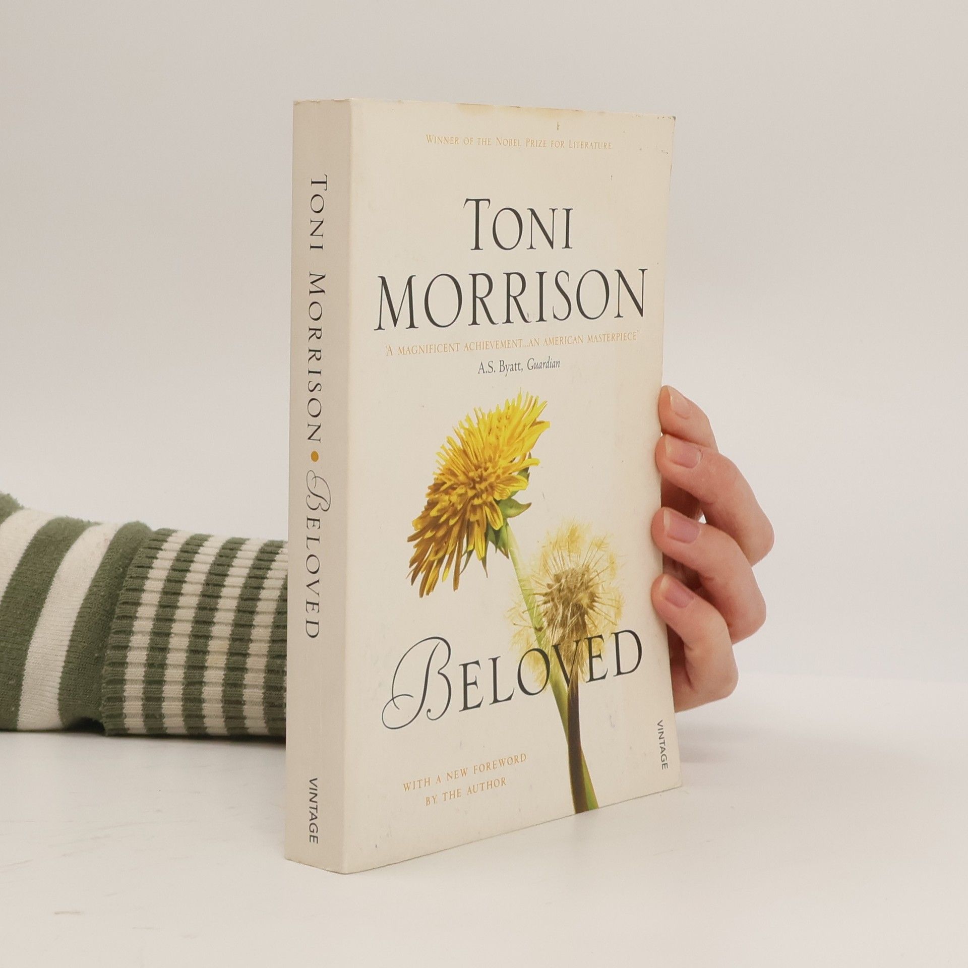 Toni Morrison Beloved