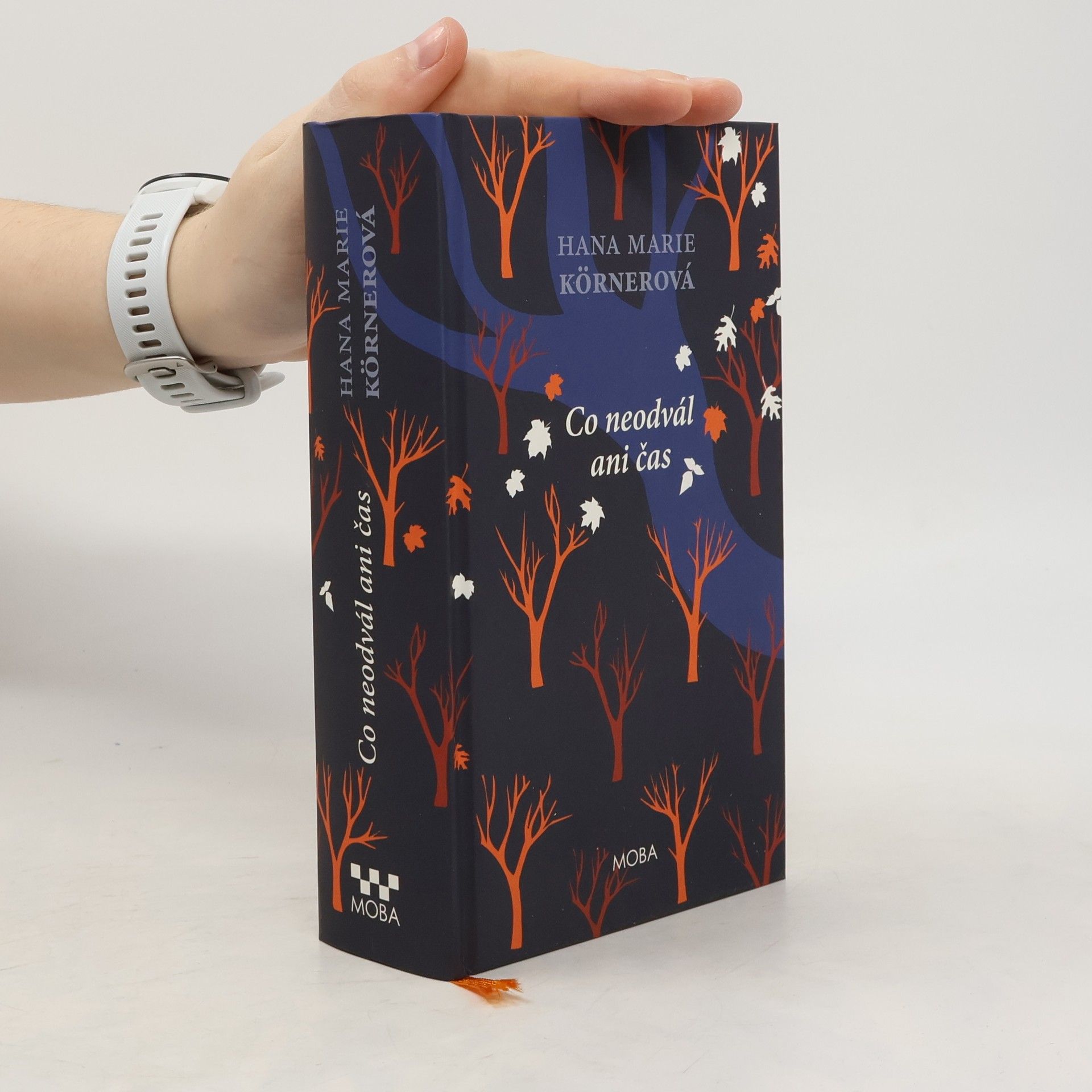 Hana Marie Körnerová Co neodvál ani čas