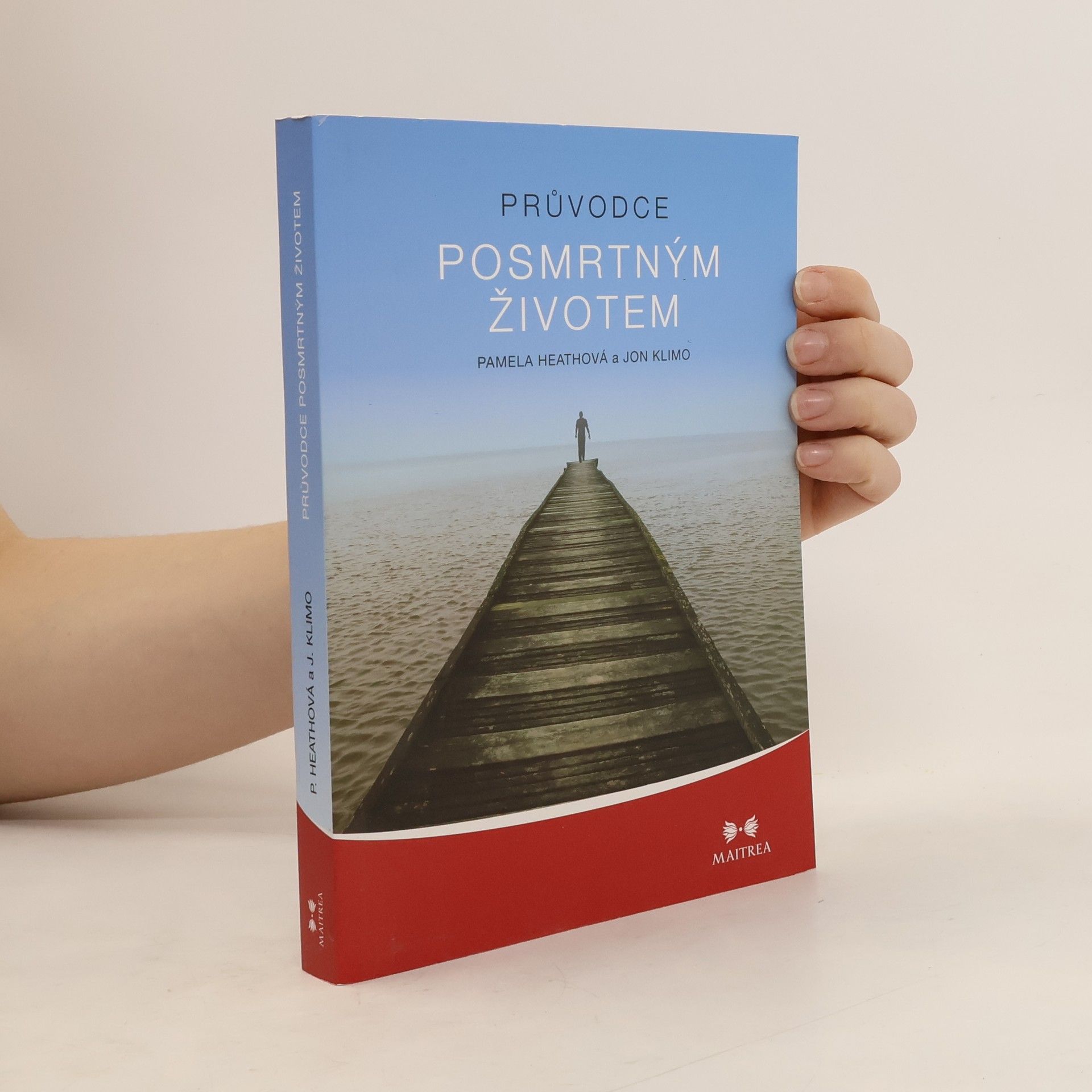 Pamela Rae Heath Průvodce posmrtným životem