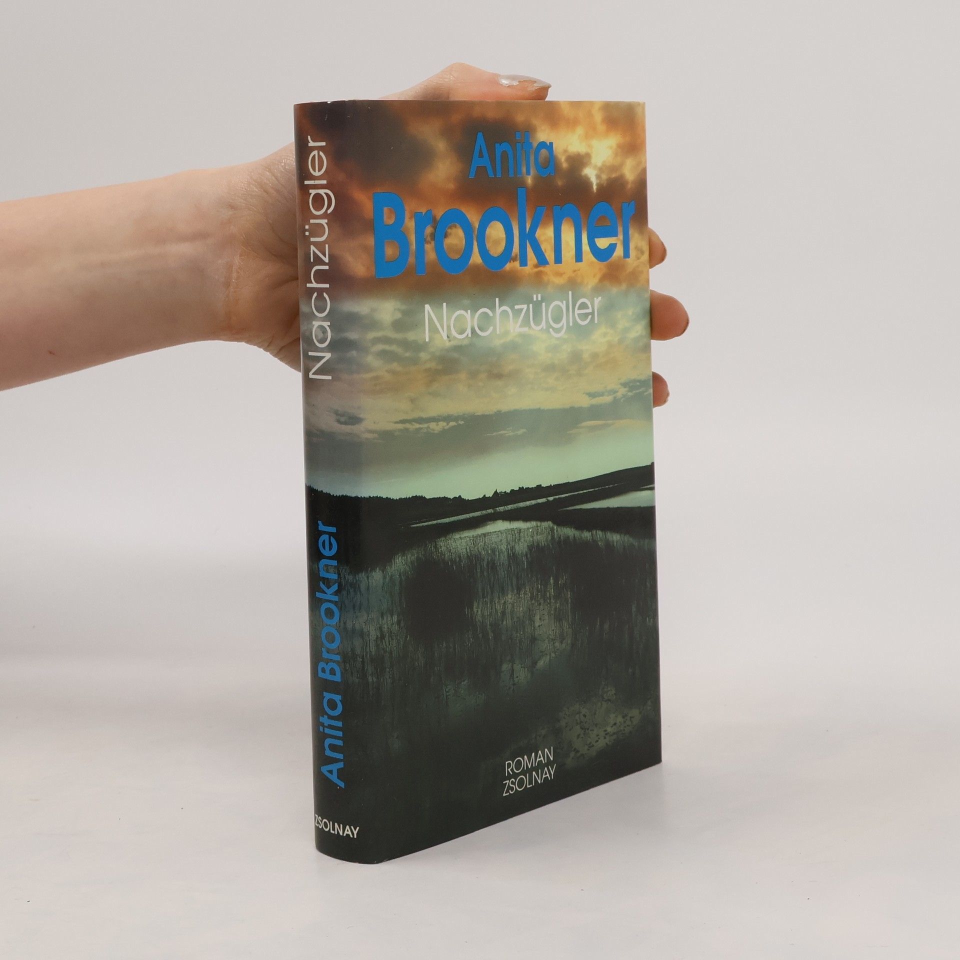 Anita Brookner Nachzügler