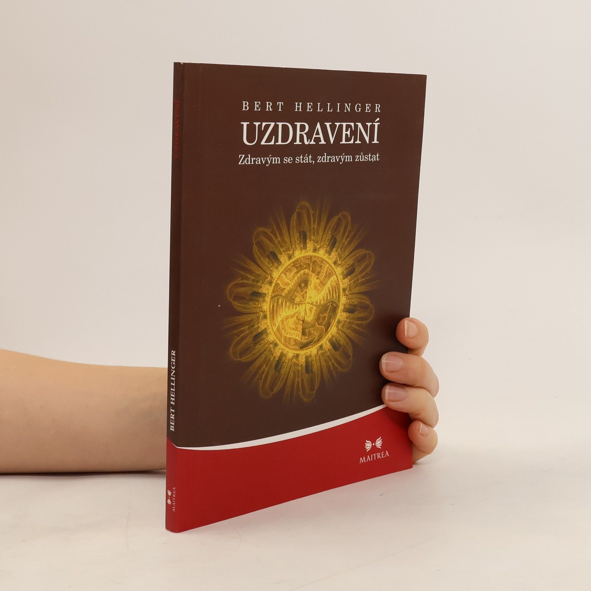 Bert Hellinger Uzdravení. Zdravým se stát, zdravým zůstat