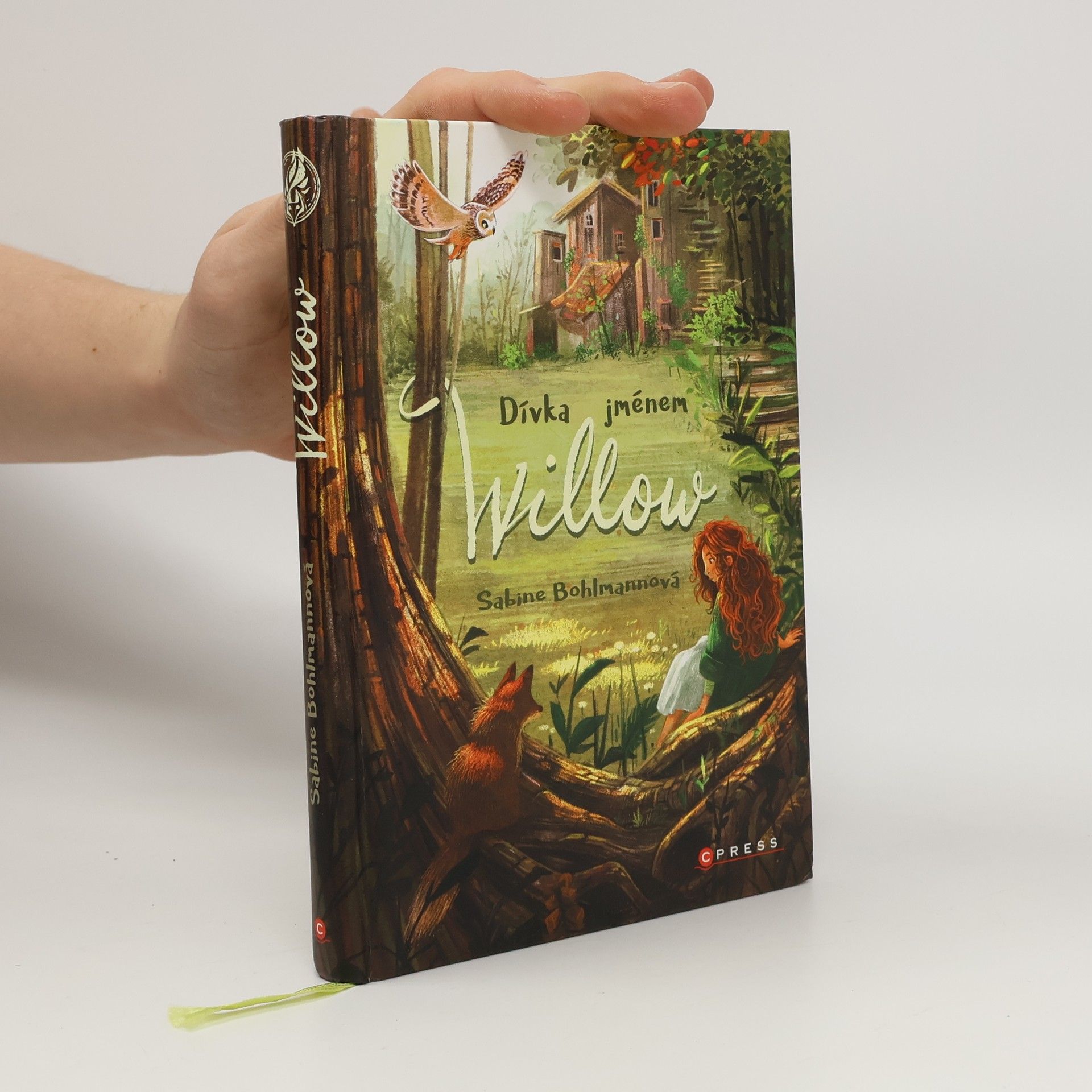 Sabine Bohlmann Dívka jménem Willow