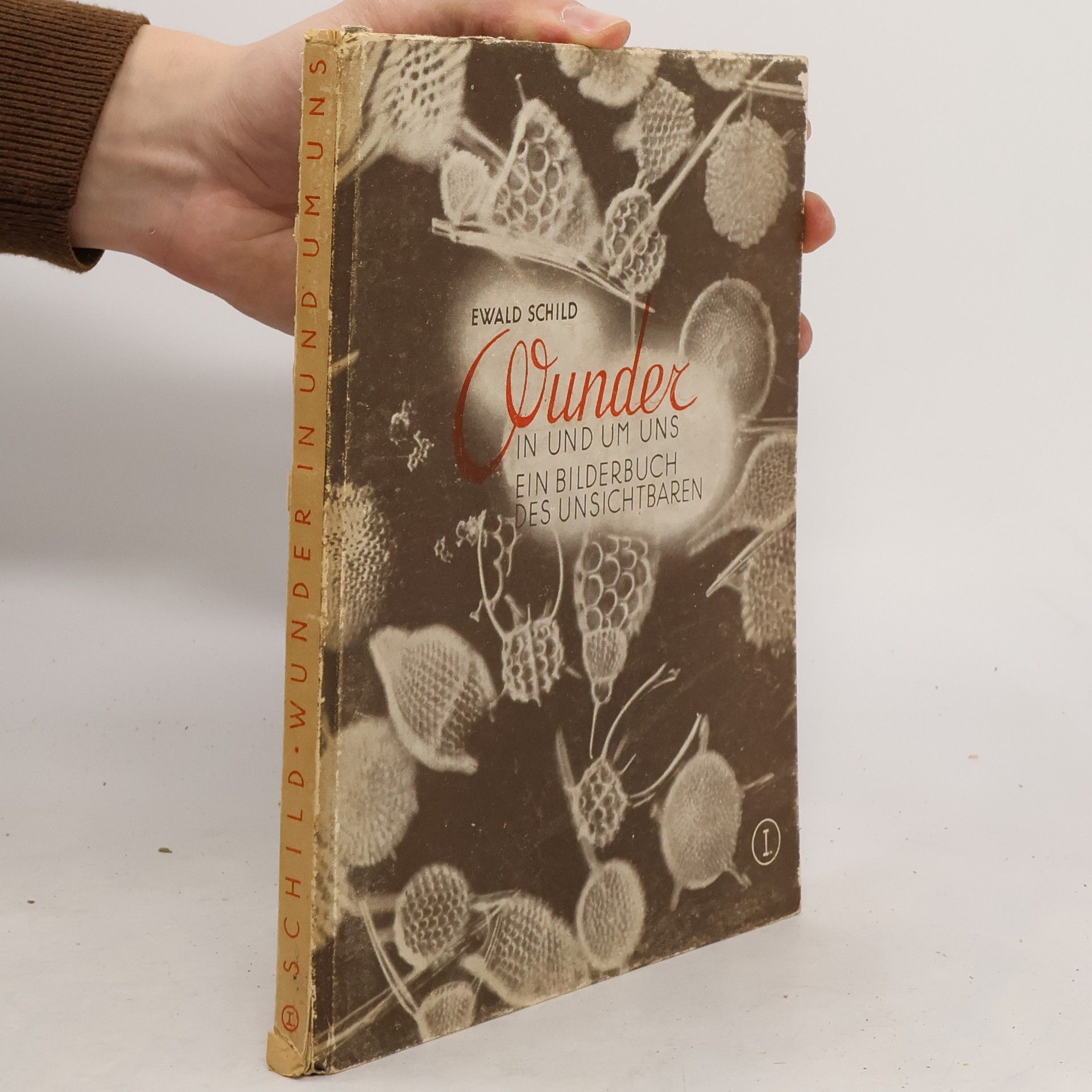 Ewald Schild Wunder in und um uns ein Bilderbuch des Unsichtbaren