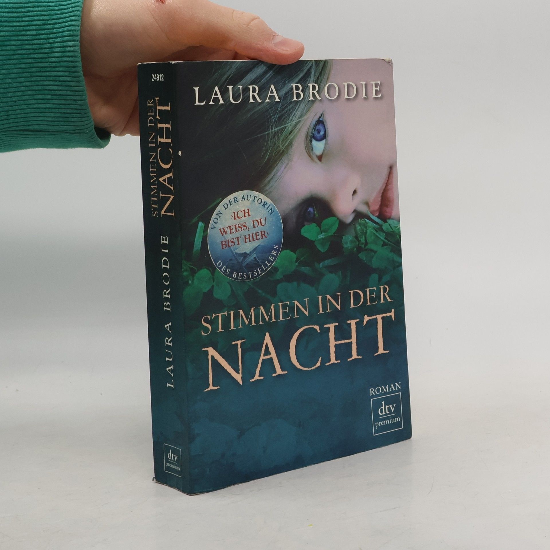 Laura Fairchild Brodie Stimmen in der Nacht