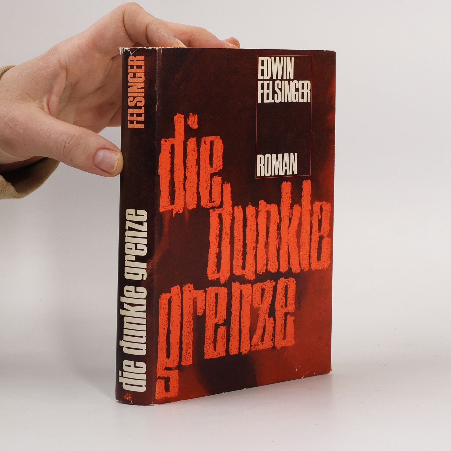 Edwin Felsinger Die dunkle Grenze
