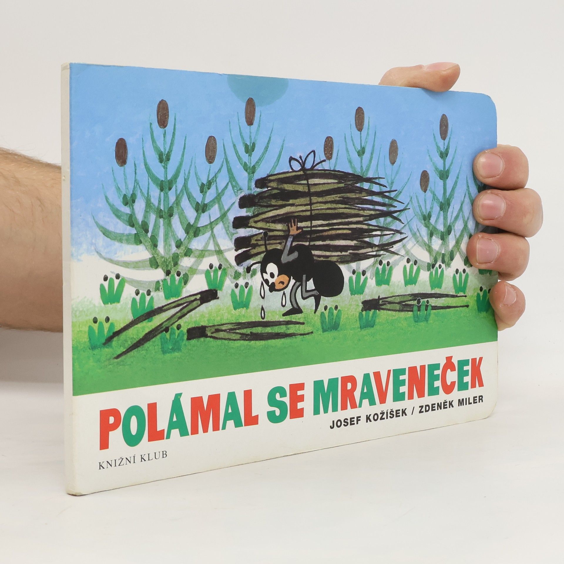 Polámal se mraveneček