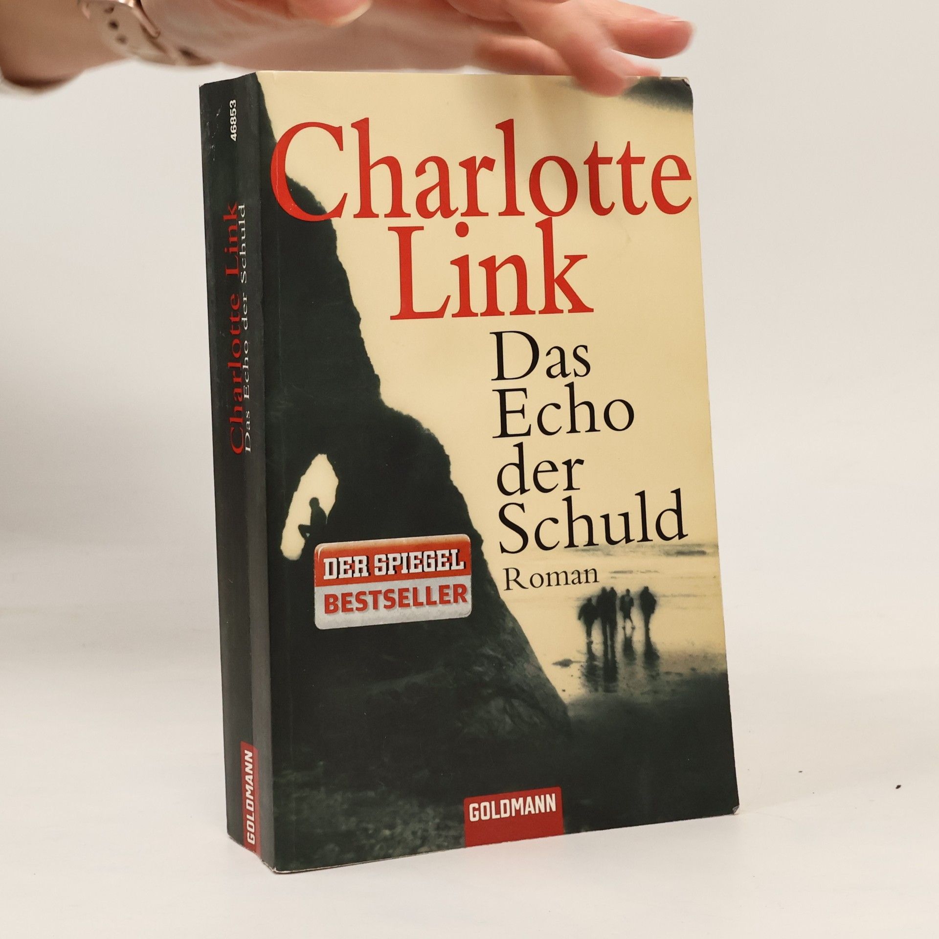 Charlotte Link Das Echo der Schuld
