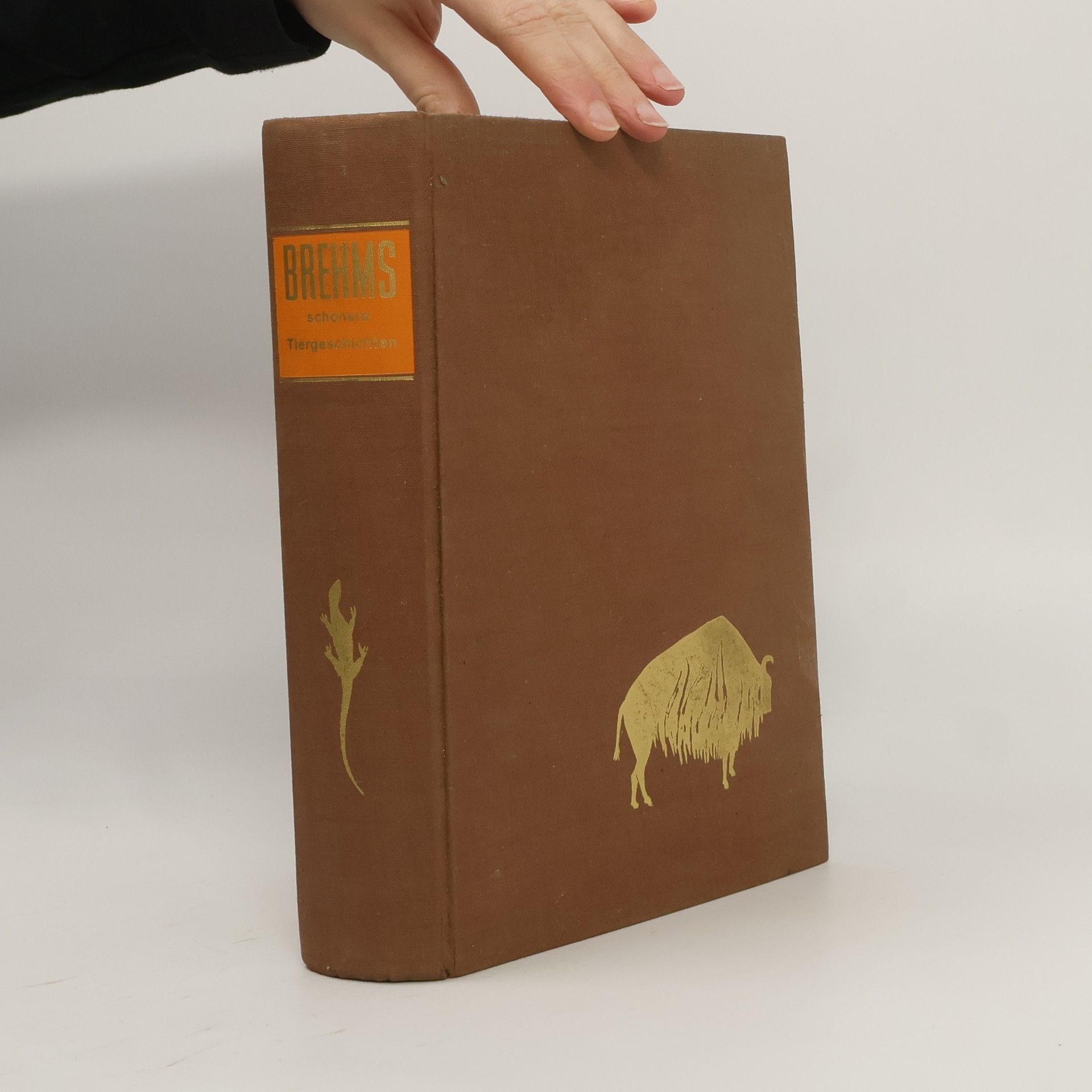 Alfred Edmund Brehm Brehms schönste Tiergeschichten