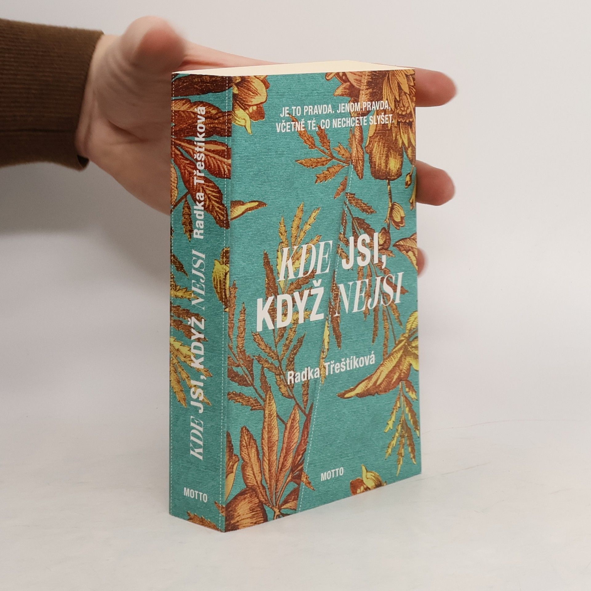 Radka Třeštíková Kde jsi, když nejsi