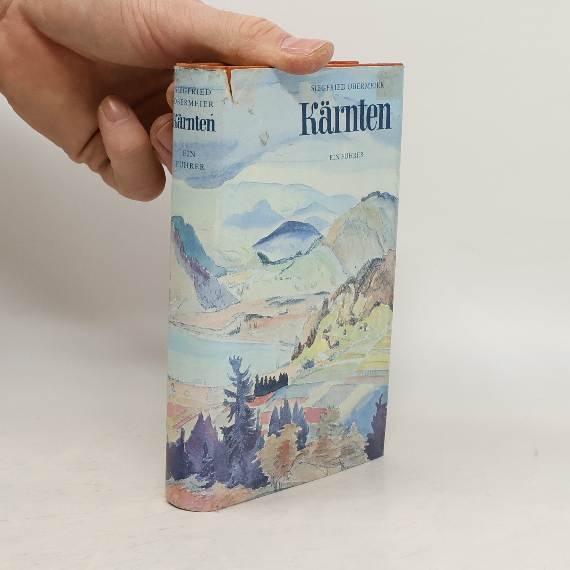 Siegfried Obermeier Kärnten