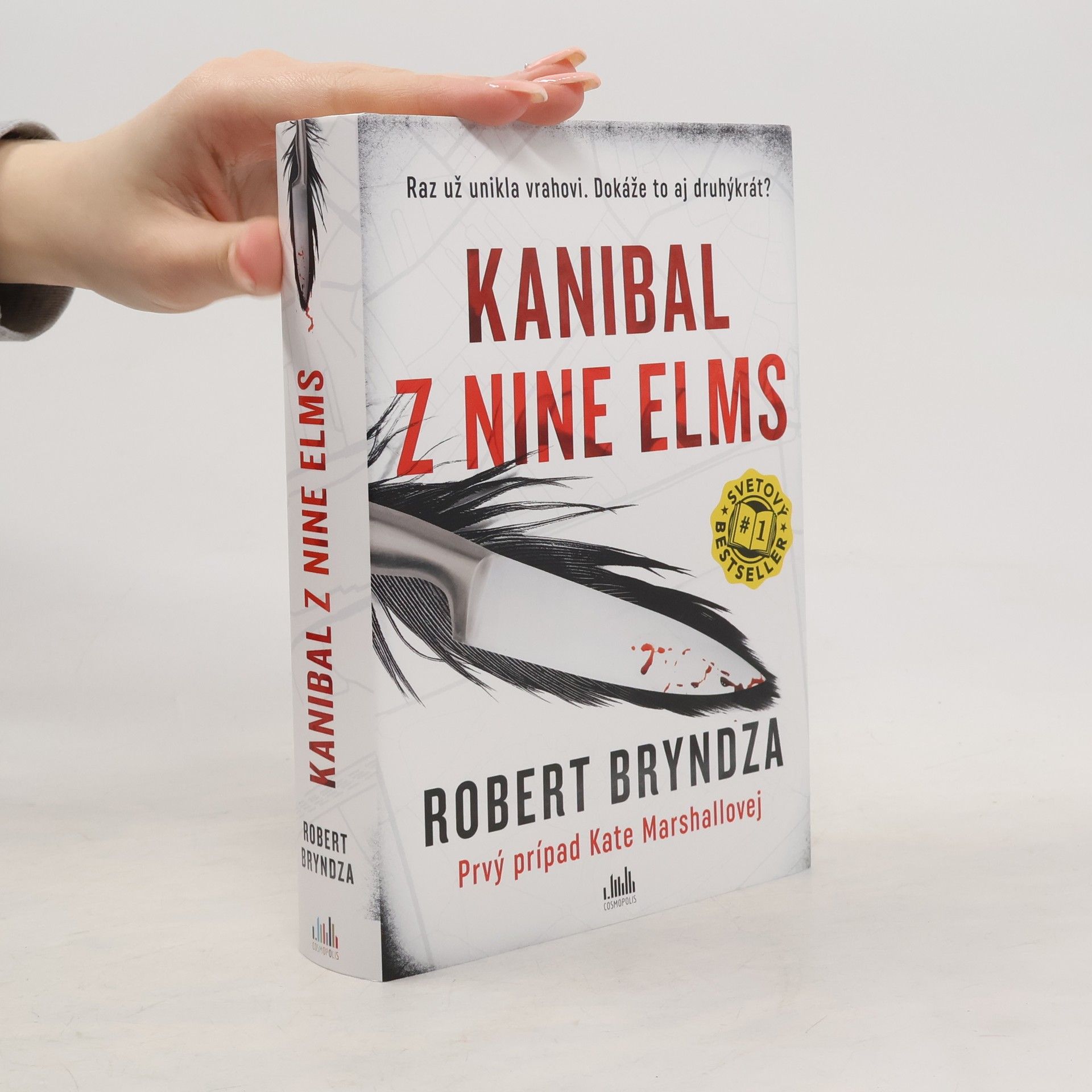 Robert Bryndza Kanibal z Nine Elms