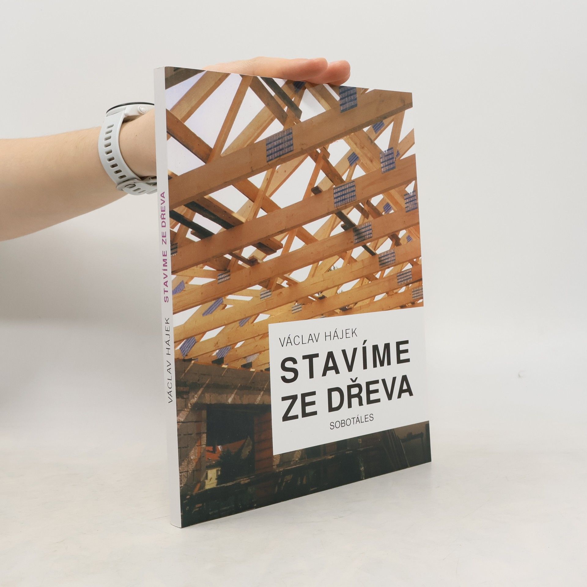 Václav Hájek Stavíme ze dřeva