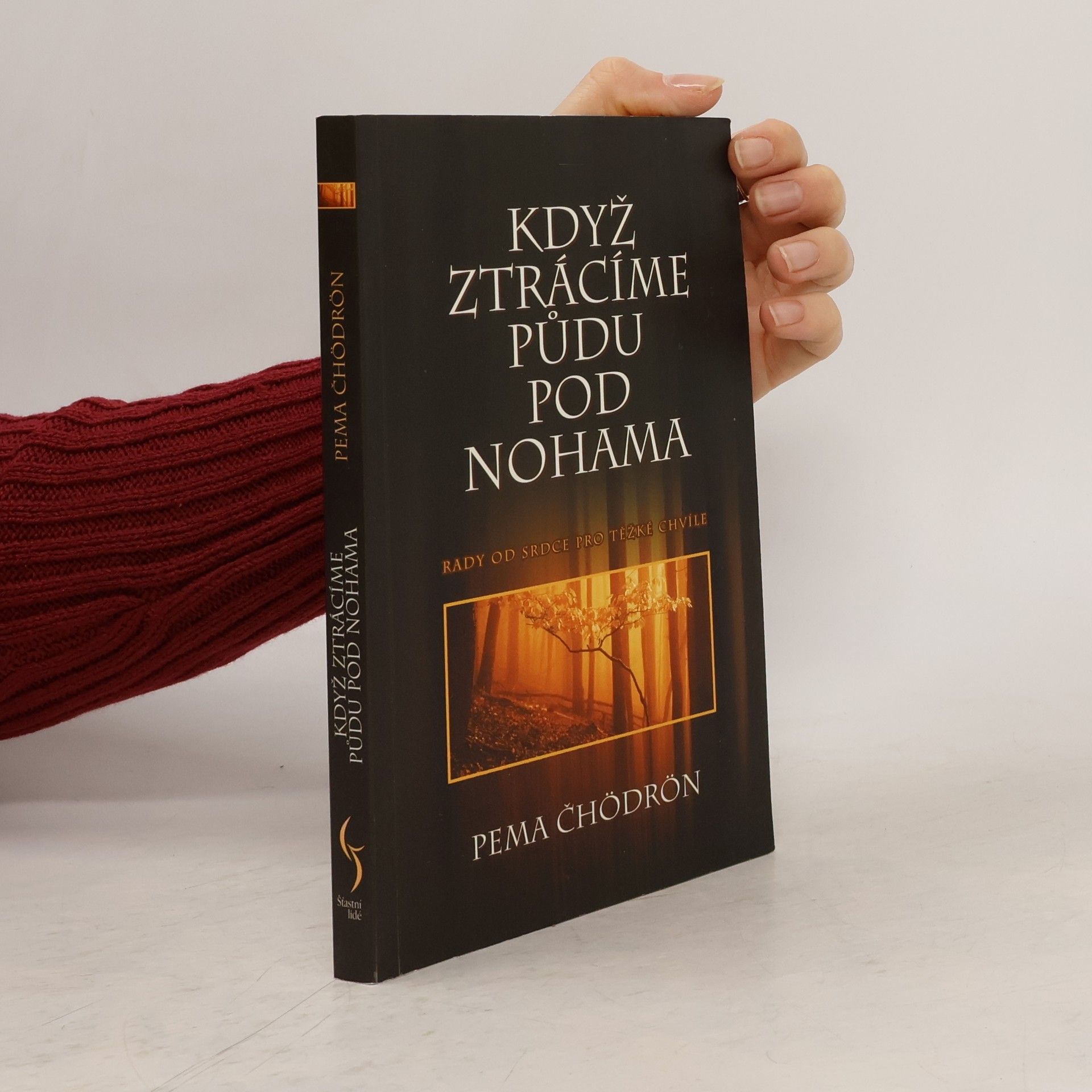 Pema Chödrön Když ztrácíme půdu pod nohama