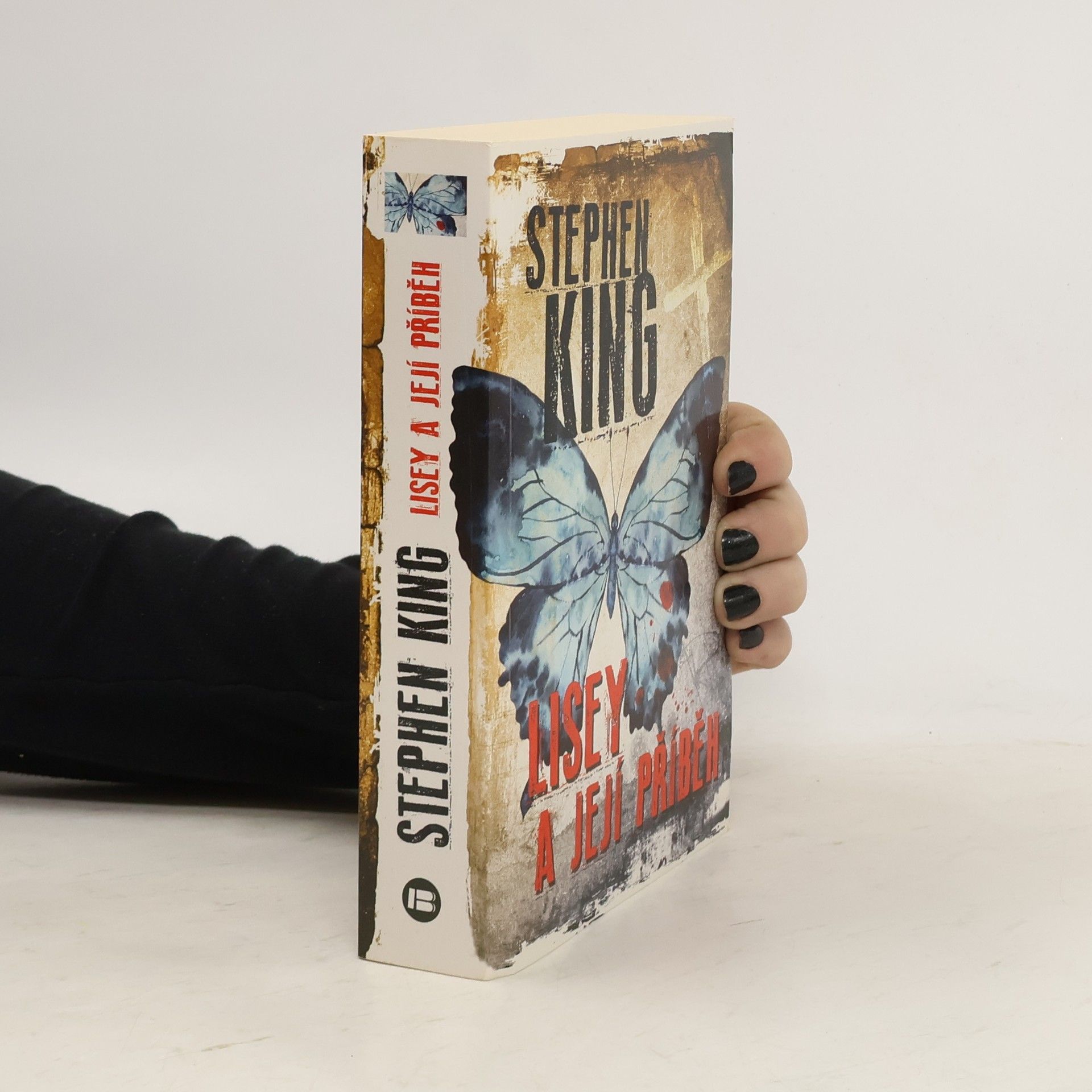 Stephen King Lisey a její příběh