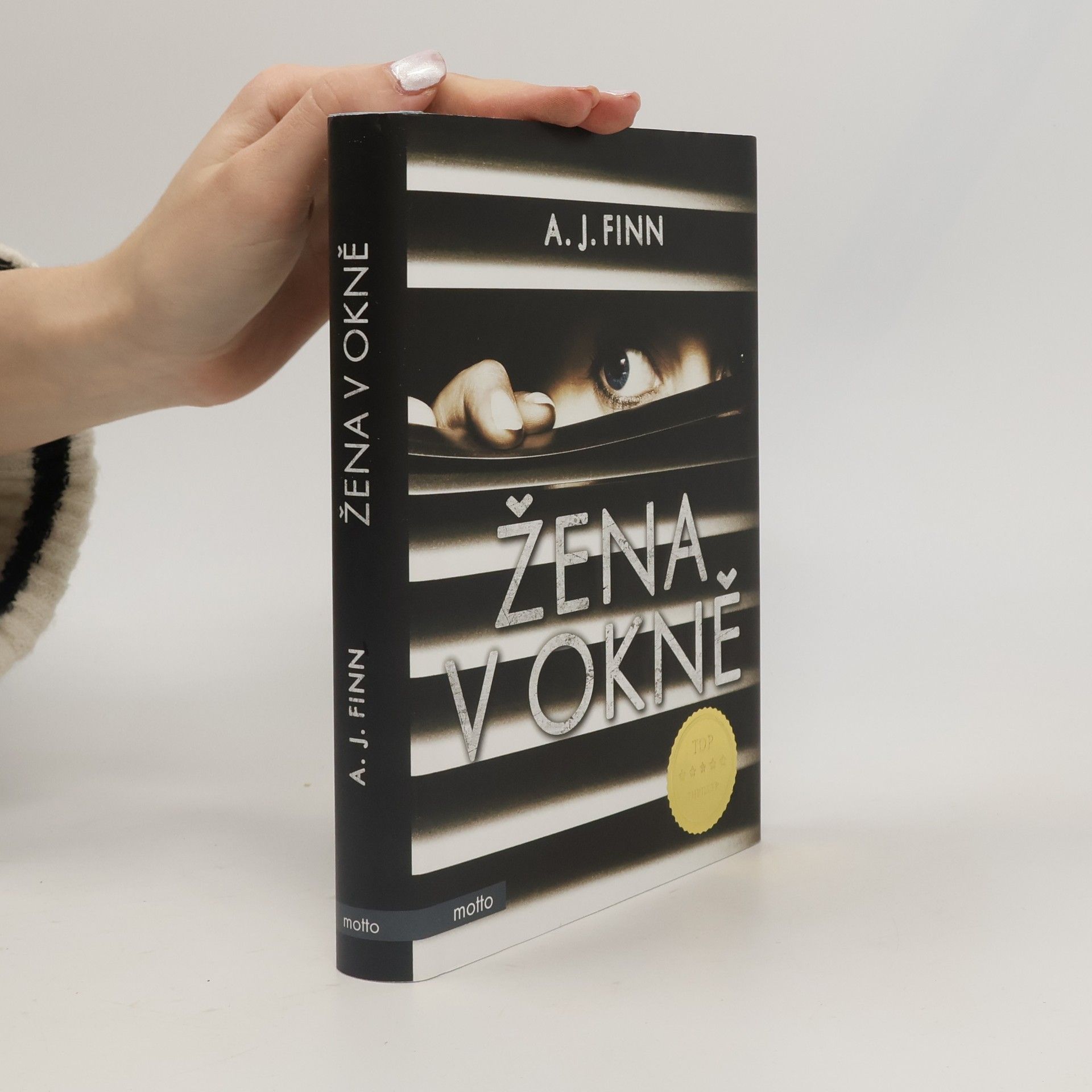 Daniel Mallory Žena v okně