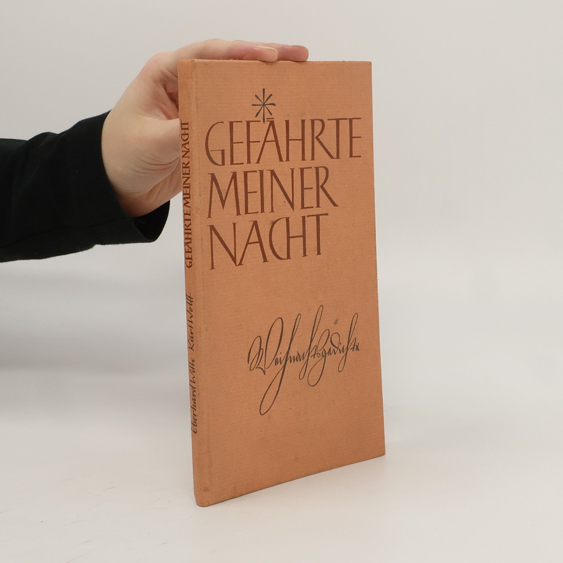 Autorenkollektiv Gefährte meiner Nacht