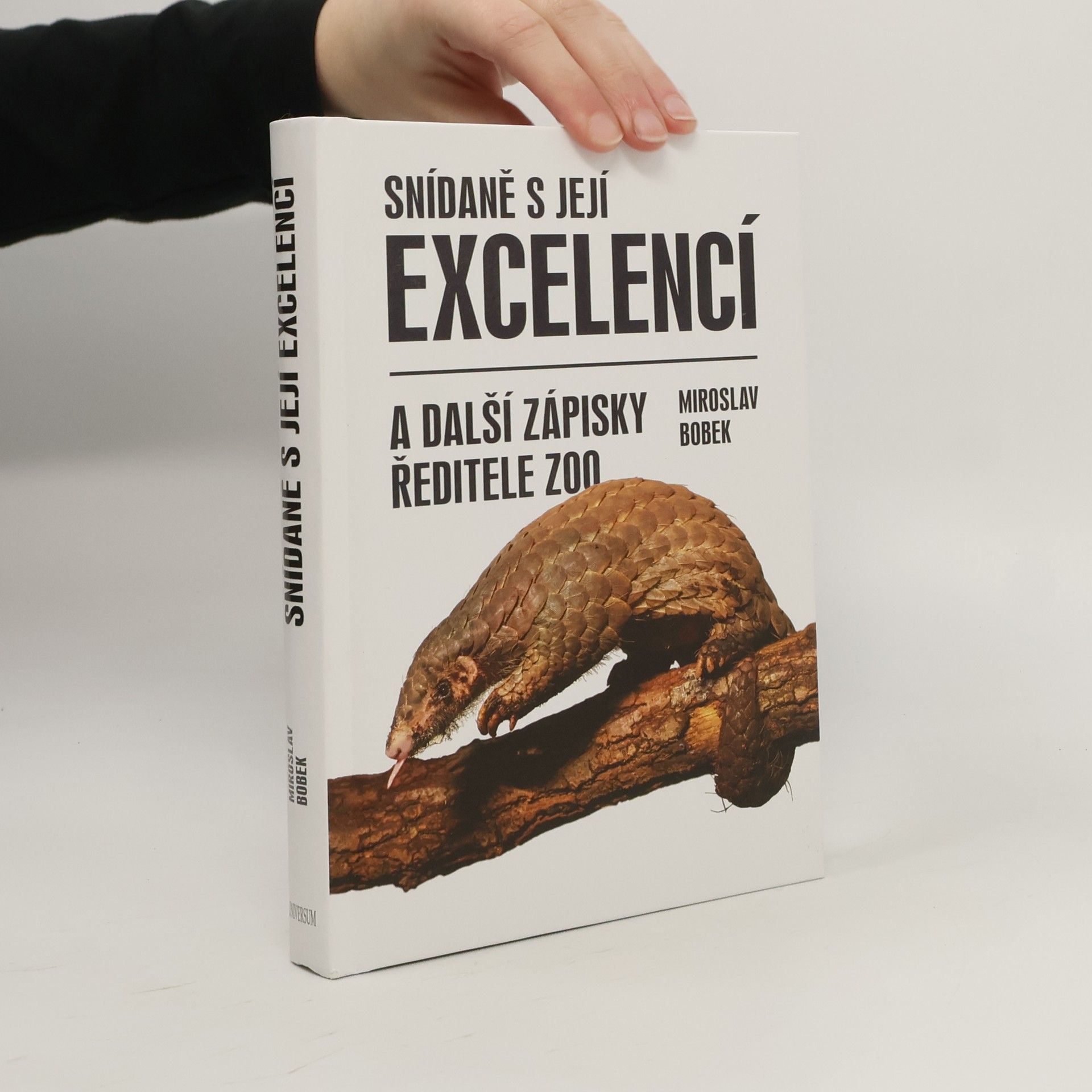 Miroslav Bobek Snídaně s její excelencí