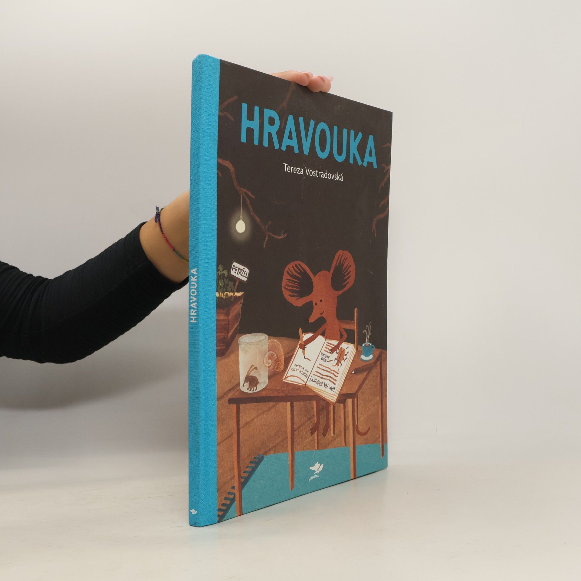 Tereza Vostradovská Hravouka