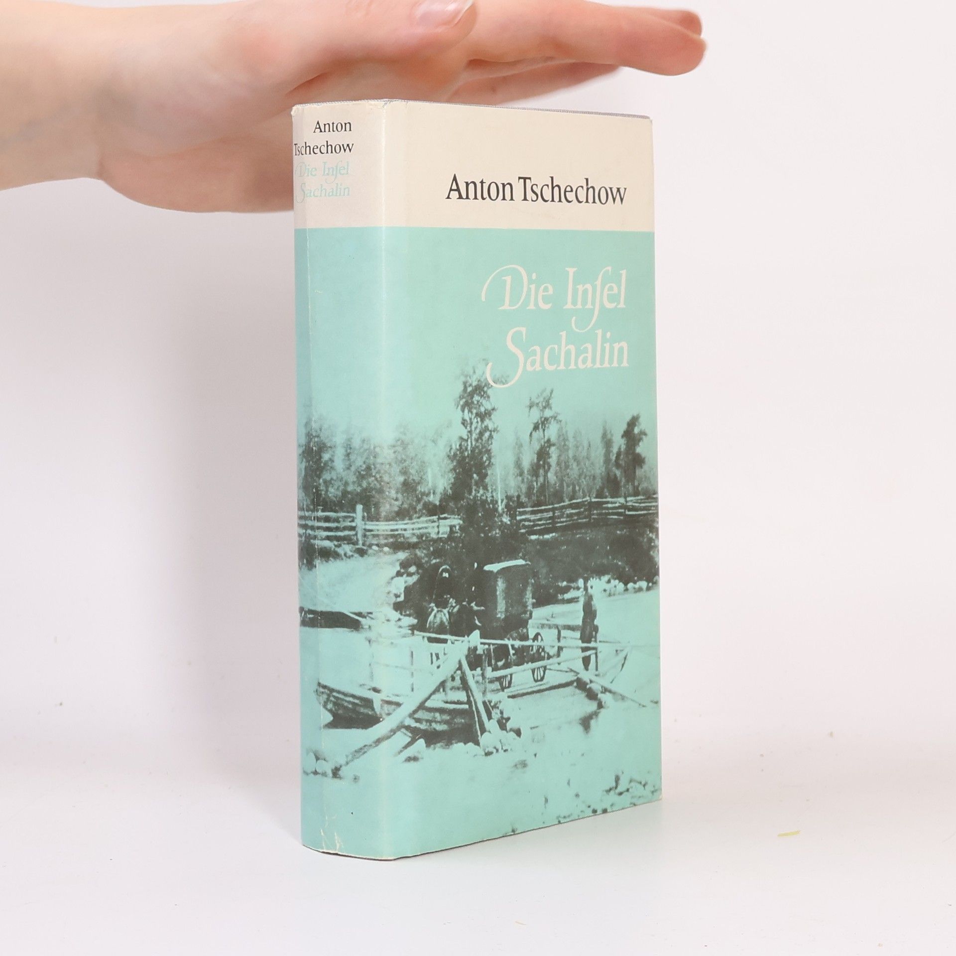 Anton Chekhov Die Insel Sachalin