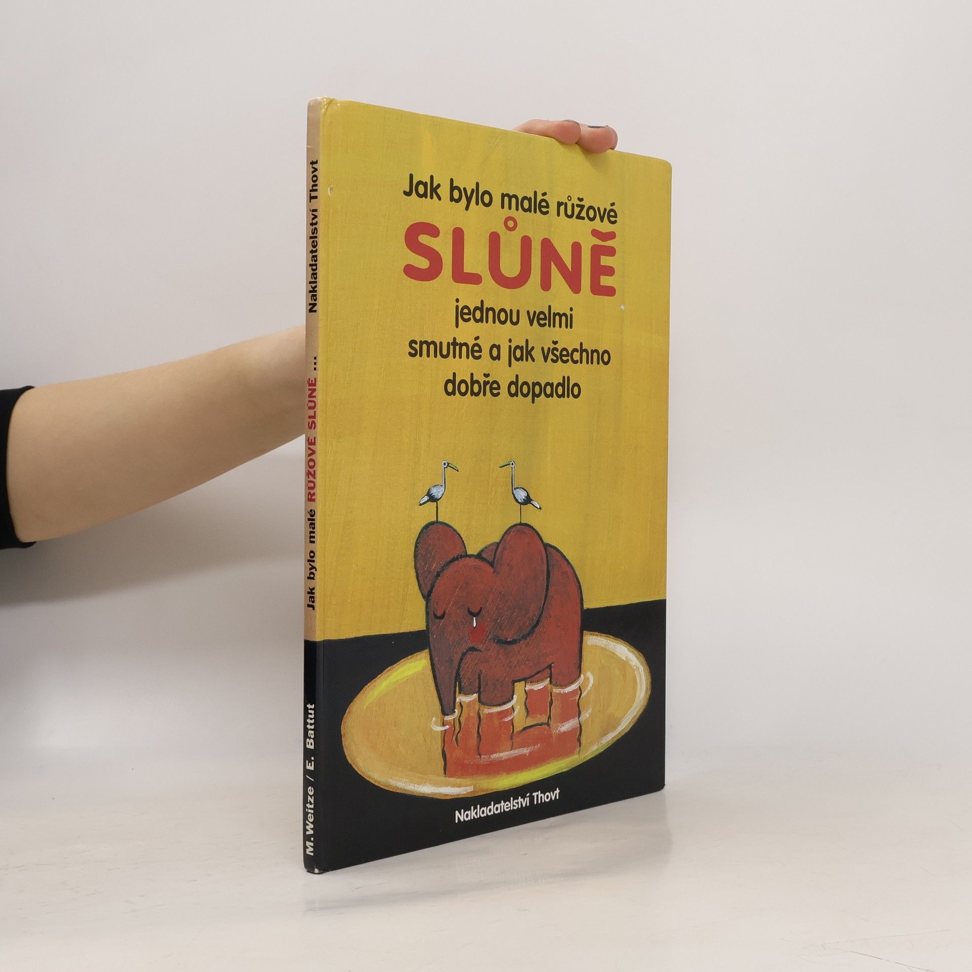 Jak bylo malé růžové slůně jednou velmi smutné a jak všechno dobře dopadlo