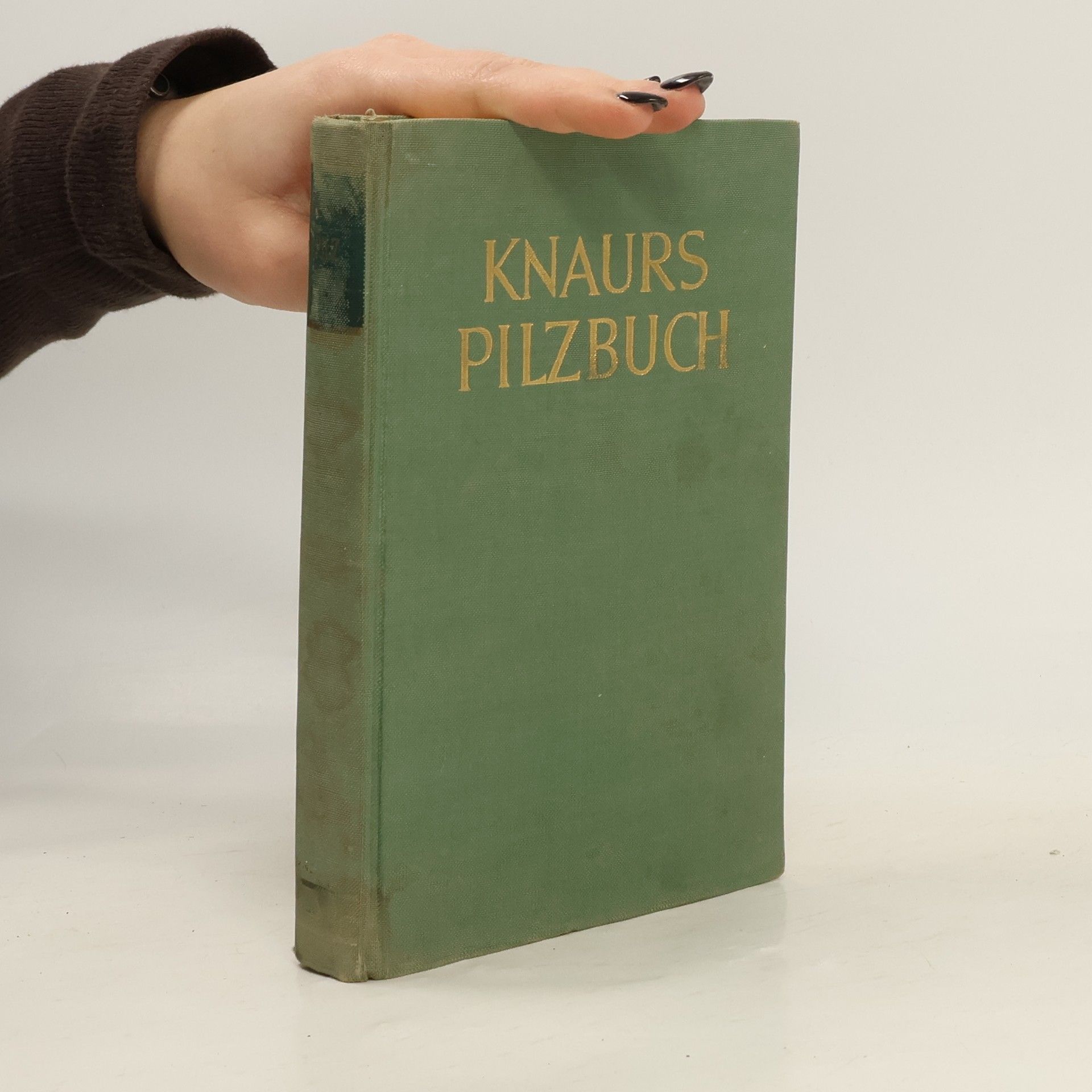 AA.VV. Knaurs Pilzbuch