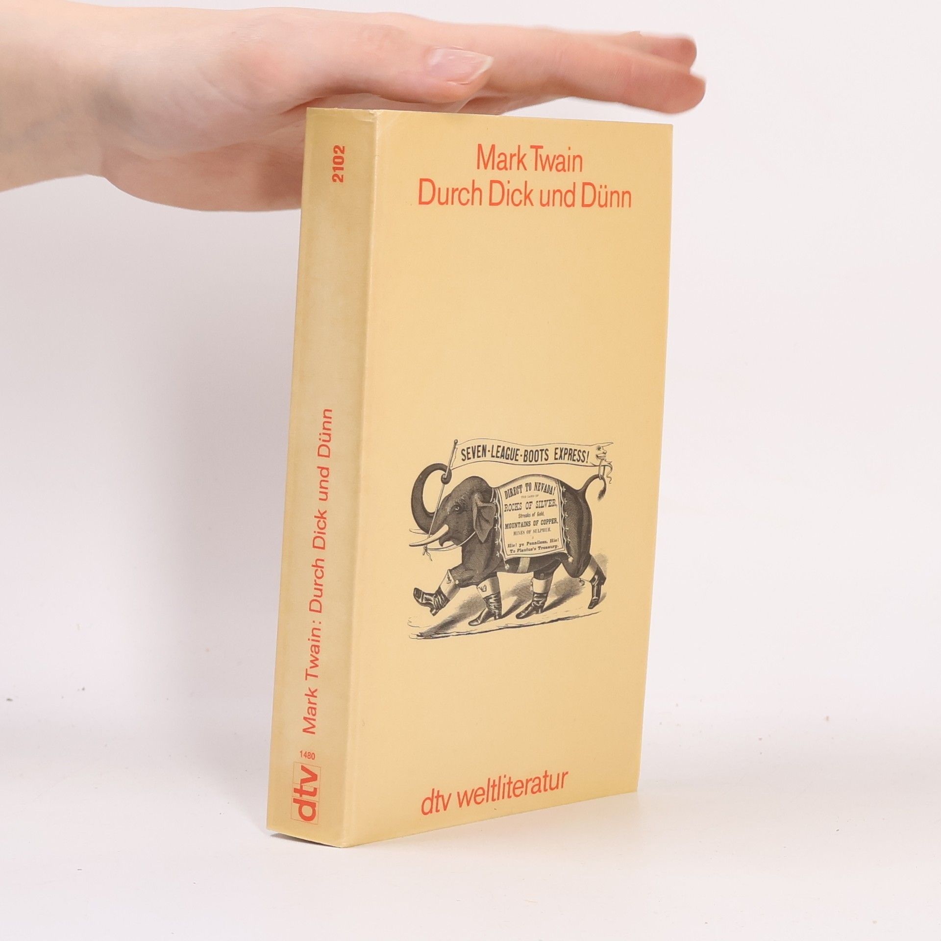 Mark Twain Durch Dick und Dünn