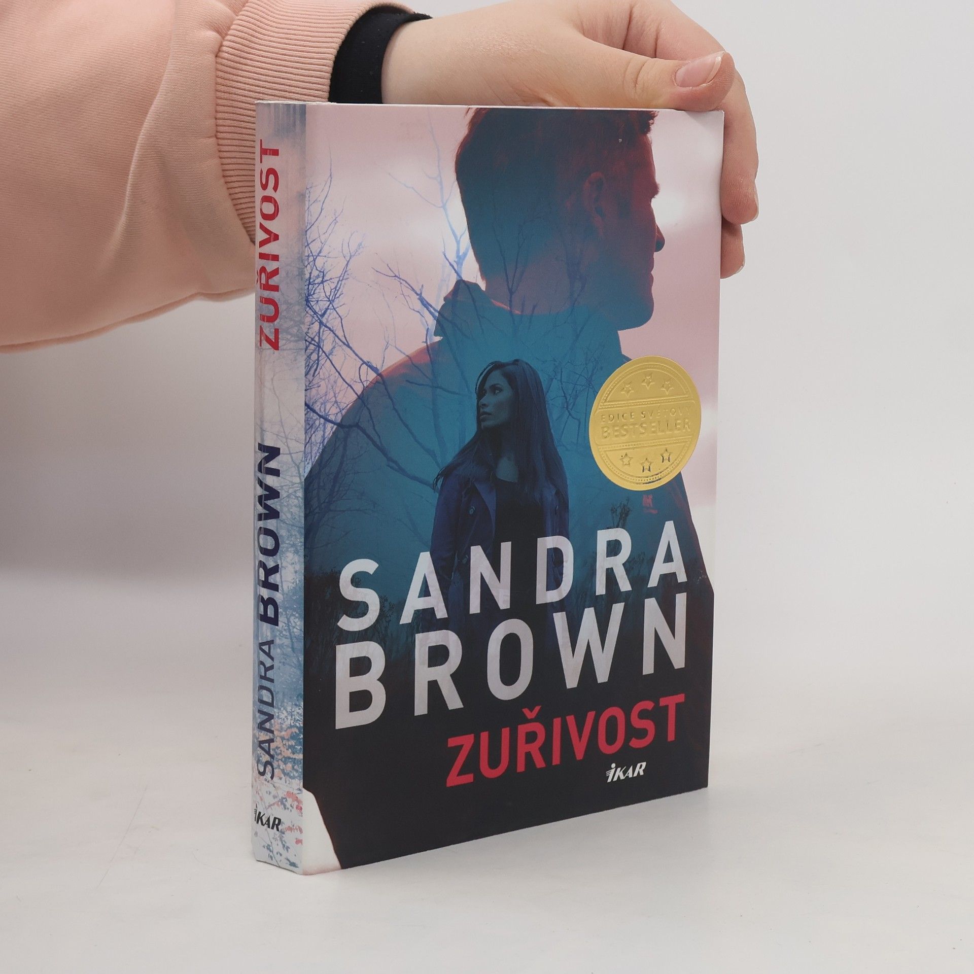 Sandra Brown Zuřivost