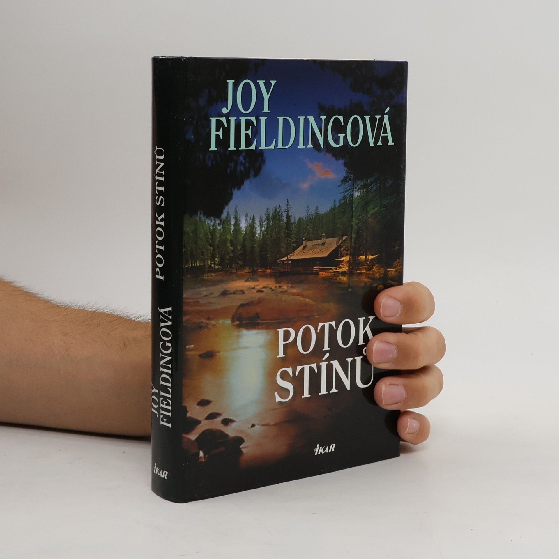 Joy Fielding Potok stínů