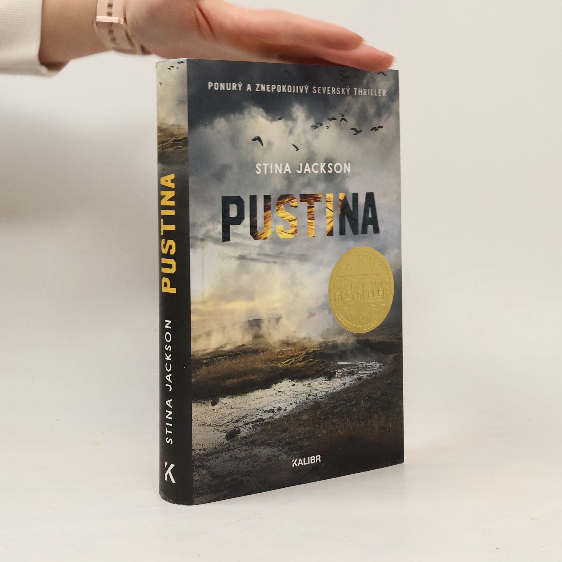 Stina Jackson Pustina