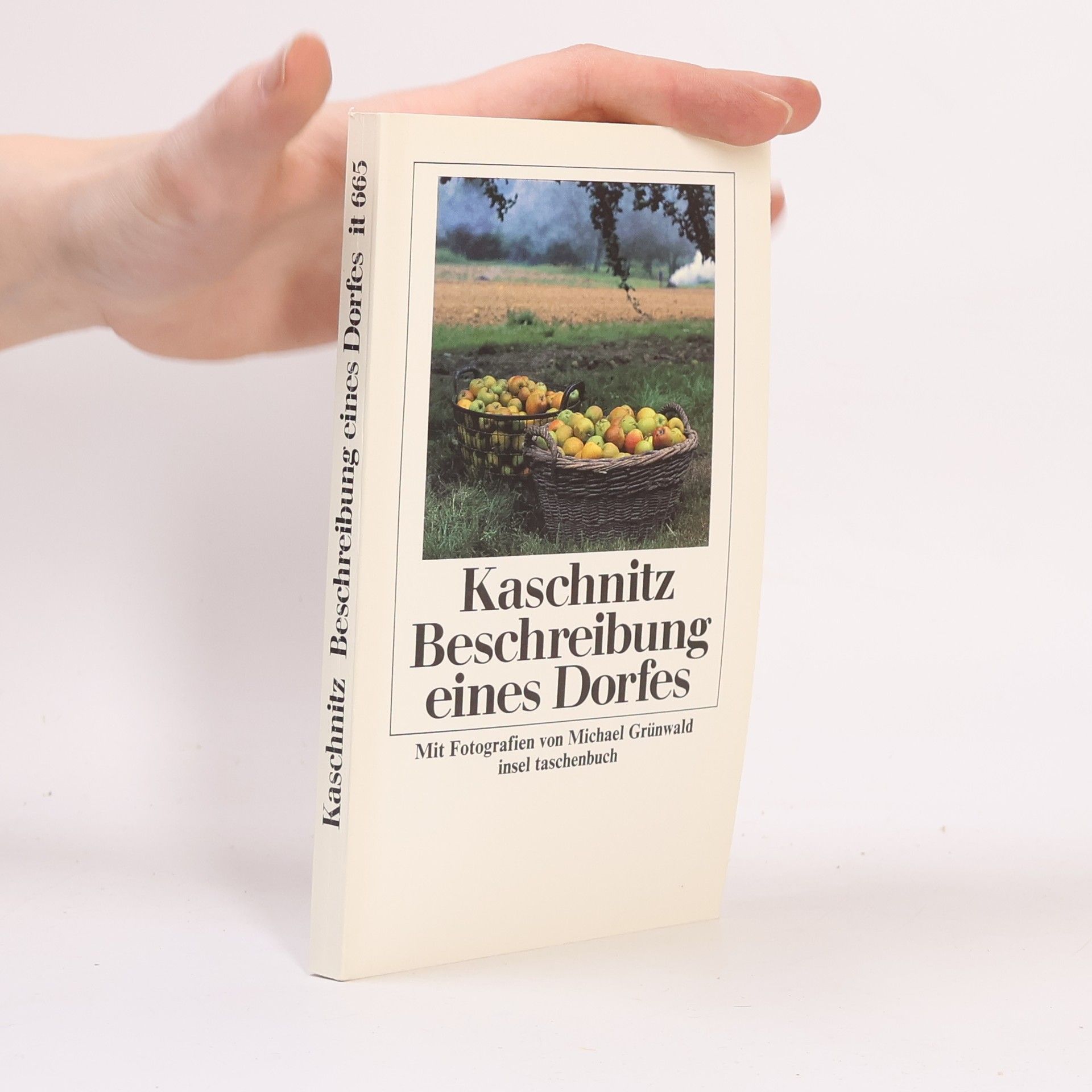 Marie Luise Kaschnitz Beschreibung eines Dorfes