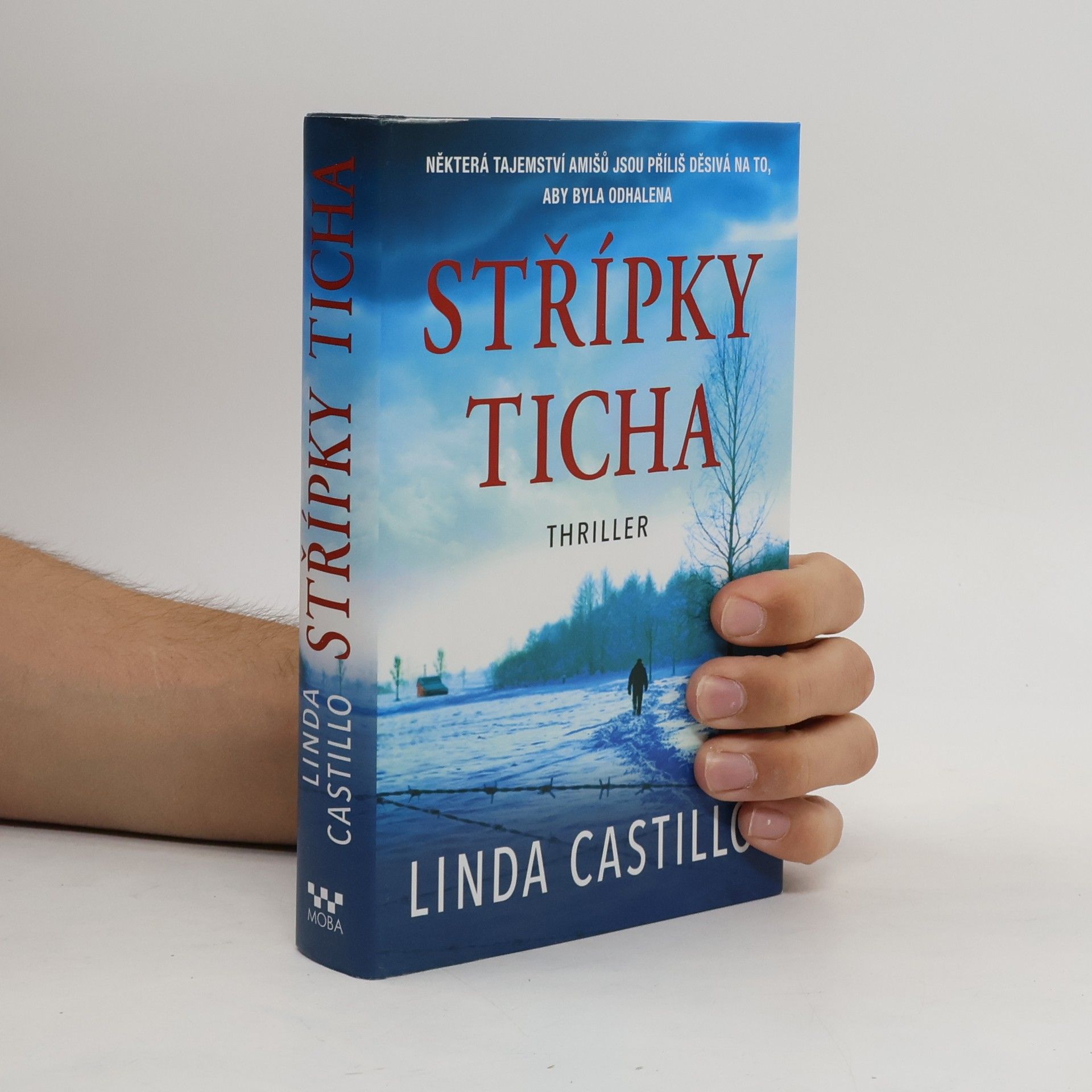 Linda Castillo Střípky ticha