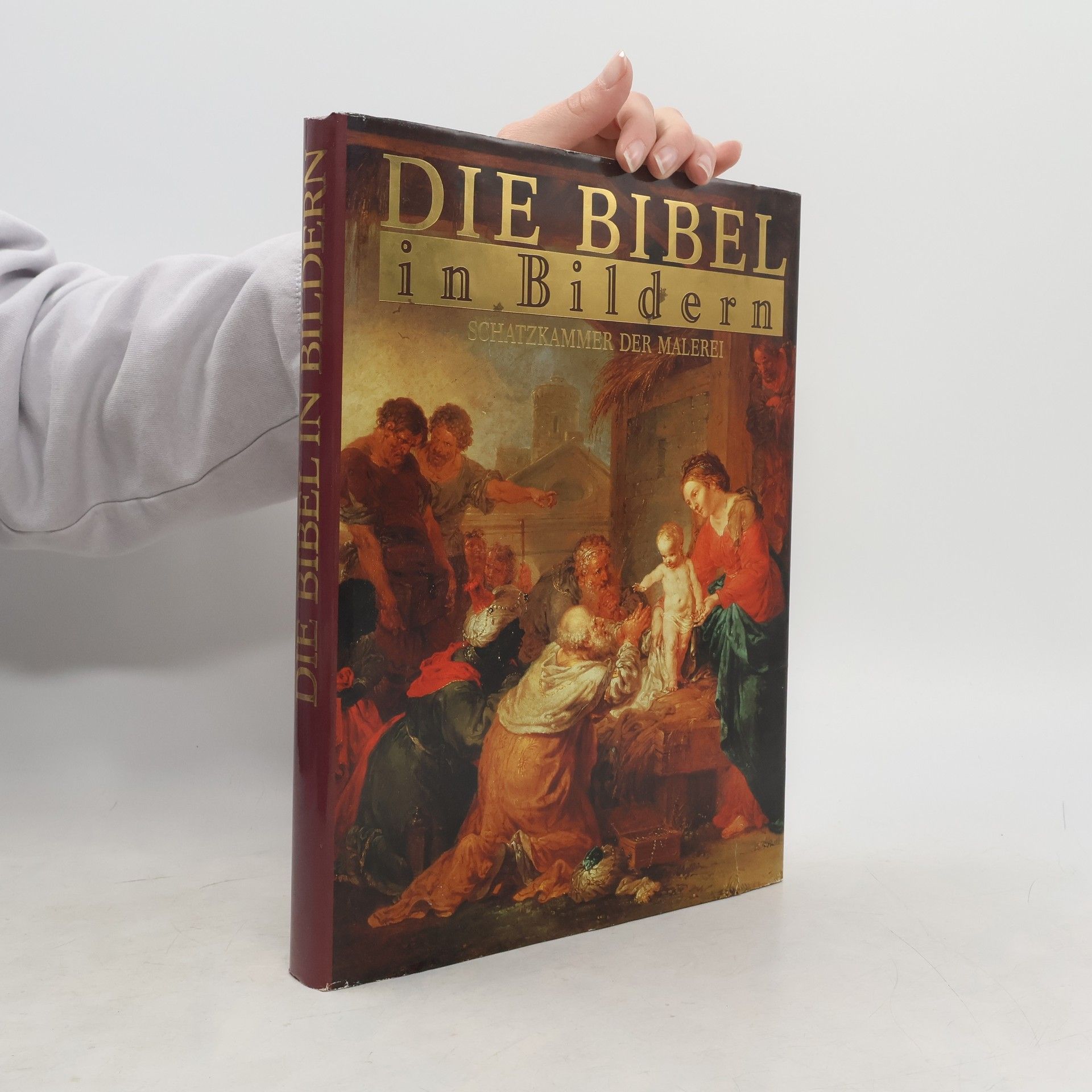 Autorenkollektiv Die Bibel in Bildern. Schatzkammer der Malerei