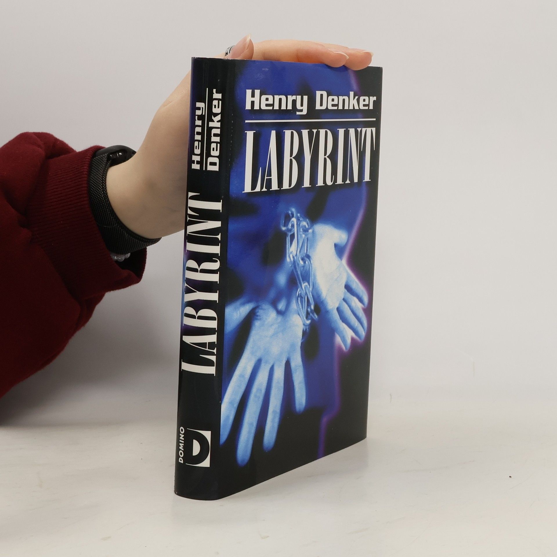 Henry Denker Labyrint