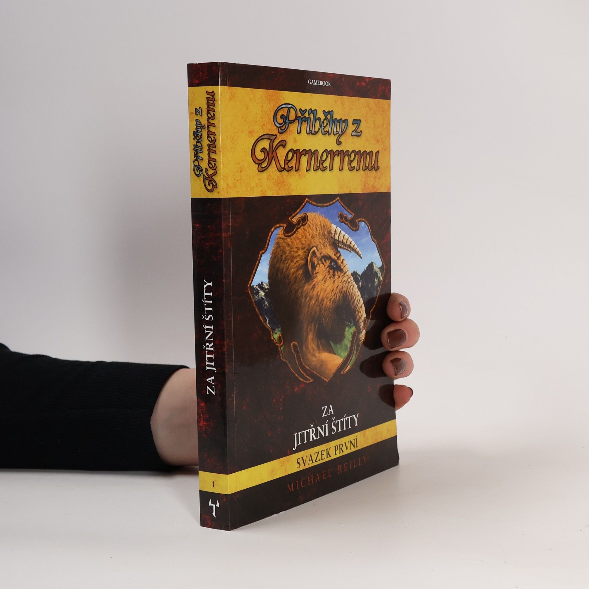 Brendan Mac Evilly Příběhy z Kernerrenu 1 - Za Jitřní štíty (gamebook)